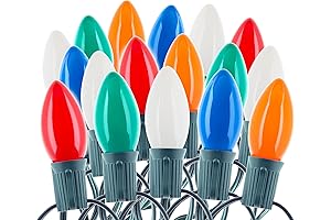 25 Ft Multicolor Christmas Light String with C9 Light Bulbs