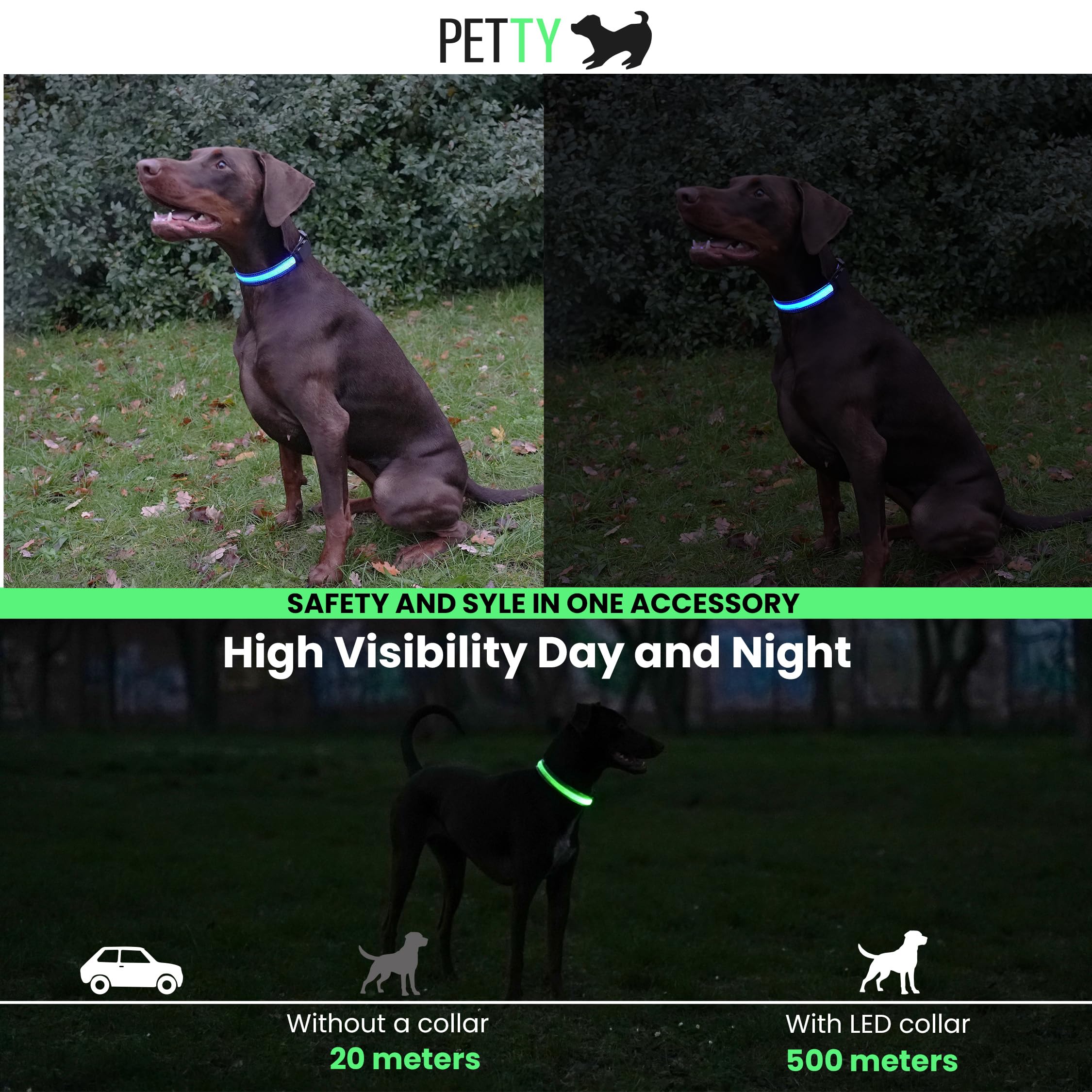 PETTY LED Dog Collar - Rechargeable USB Collar with Buckle Closure and Safety Button for Small Medium, and Large Dogs (XS Blue) - Image 3