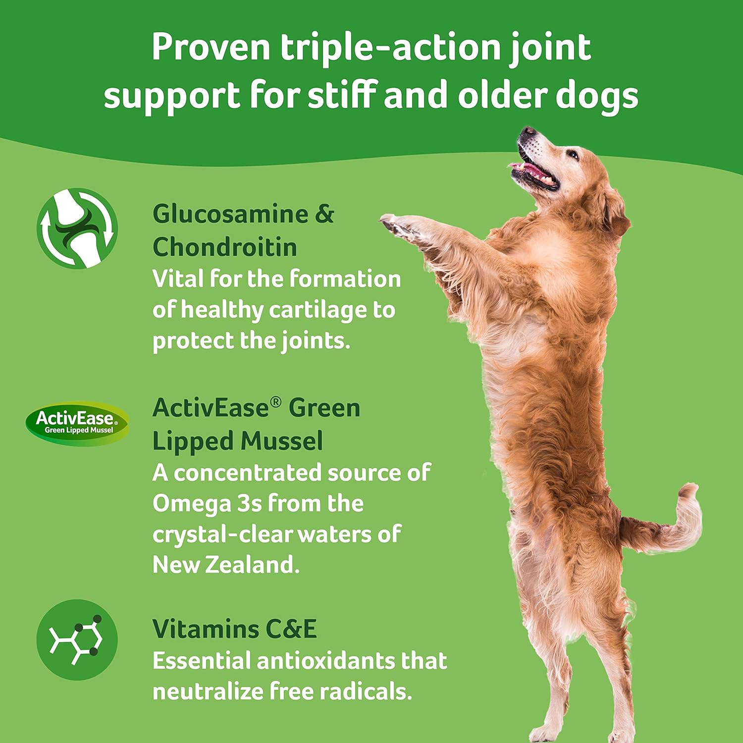 Get Cheap Price YuMOVE Hip and Joint Supplement for Dogs with Glucosamine, Chondroitin, Hyaluronic Acid, Green Lipped Mussel | Tablets for Adult & Senior Dogs Crazy Deals YuMOVE Hip and Joint Supplement for Dogs with Glucosamine, Chondroitin, Hyaluronic Acid, Green Lipped Mussel | Tablets for Adult & Senior Dogs