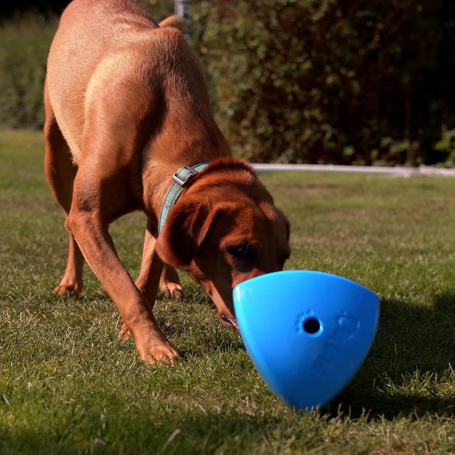 Roolo Dog Treat Dispenser Toy – dog toys Interactive Enrichment Puzzle Feeder for All Dog Sizes and Breeds – Durable Slow Feeder for Mental Stimulation & Boredom Relief gifts for dogs Roolo Dog Treat Dispenser Toy – dog toys Interactive Enrichment Puzzle Feeder for All Dog Sizes and Breeds – Durable Slow Feeder for Mental Stimulation & Boredom Relief gifts for dogs