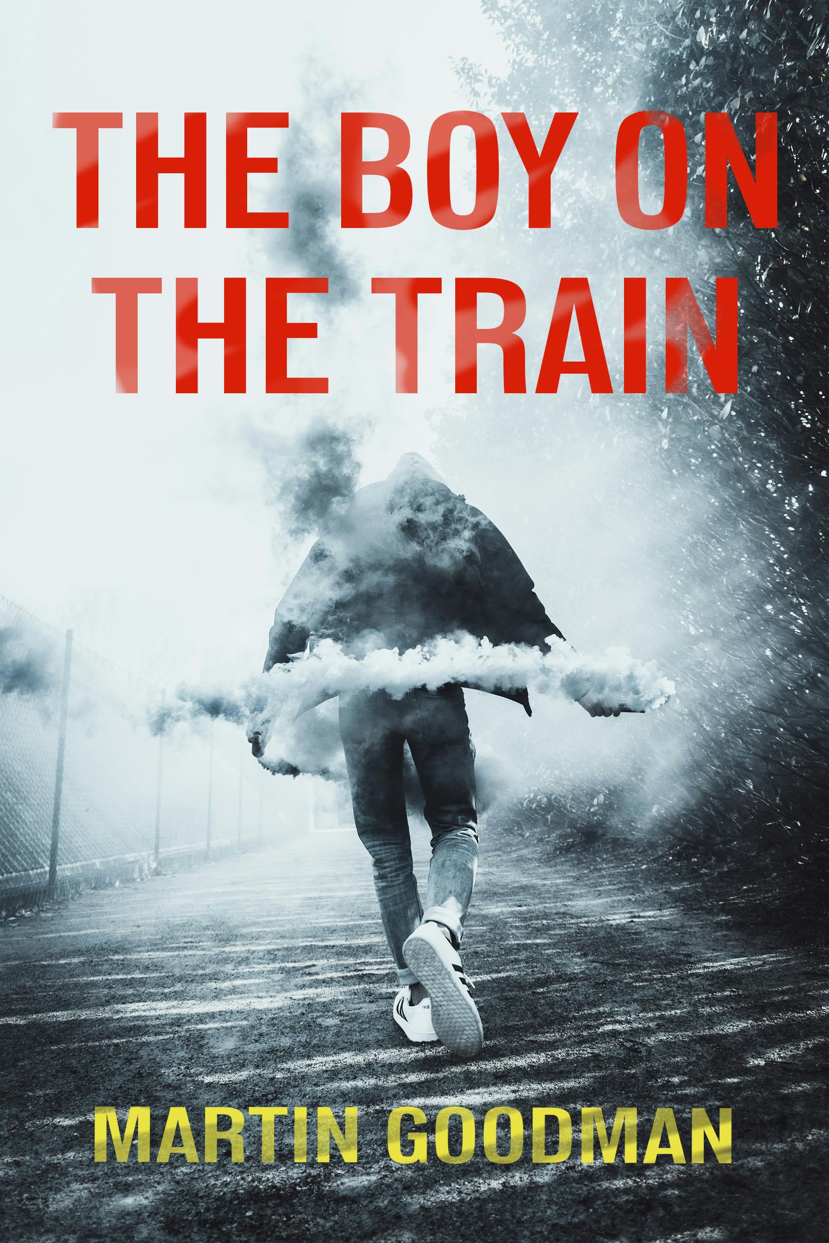The Boy on the Train by Martin Goodman PAPERBACK 9781917352079