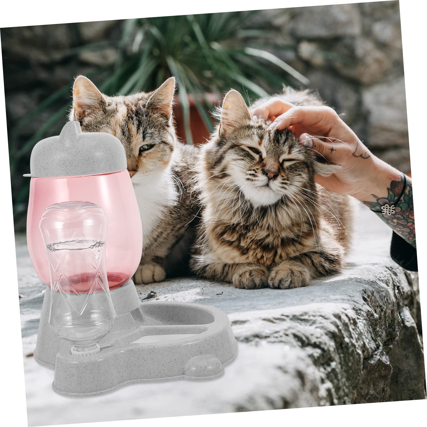 Distributore Automatico per Cani e Cuccioli, Plastica 1 Pezzo
