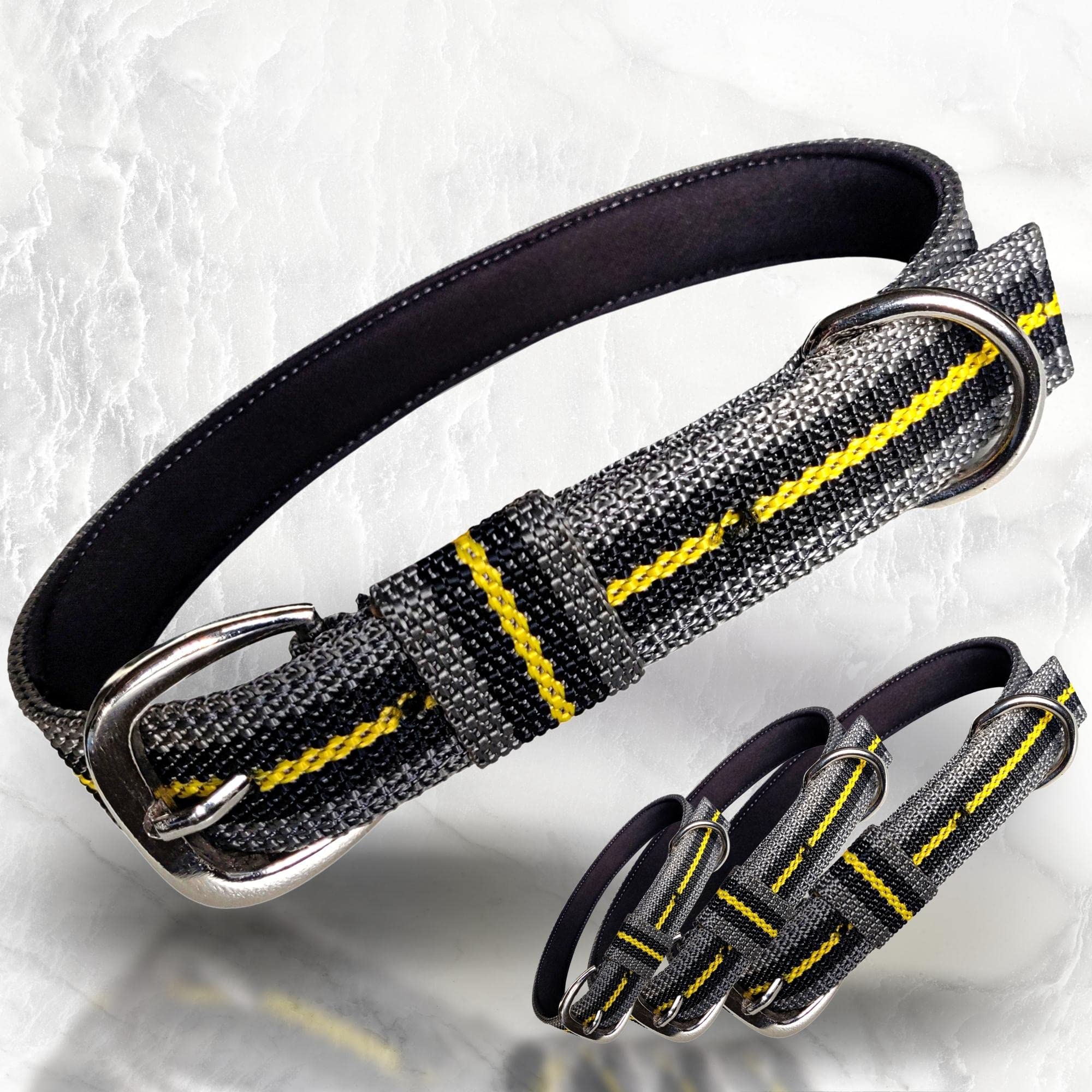 PALLY Pets Products Padded Nylon Dog Collar with Metal Buckle, Classic Dog Belt (Small) (B09X1HF1L7) Amazon Price History, Amazon Price Tracker