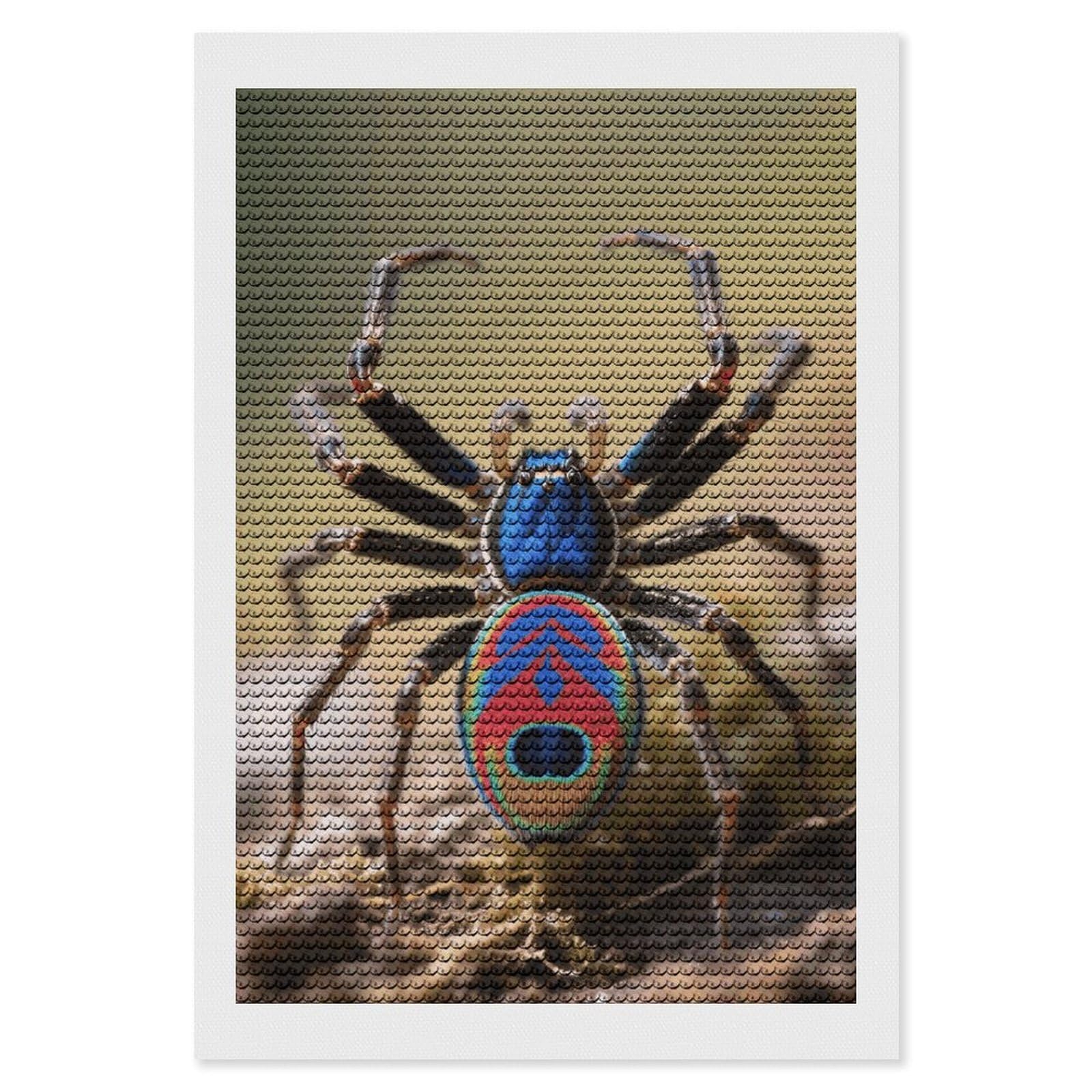 FodPand Peacock Spider 5D Diamond Painting Kits for Adults Beginners Full Drill Round Diamond Dots Pictures Gem Art Supplies for Home Wall Room Decoration DIY Craft Set Gift 8x12