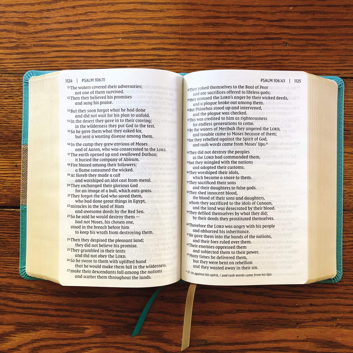 NIV, Giant Print Compact Bible, Leathersoft, Teal, Red Letter, Comfort Print