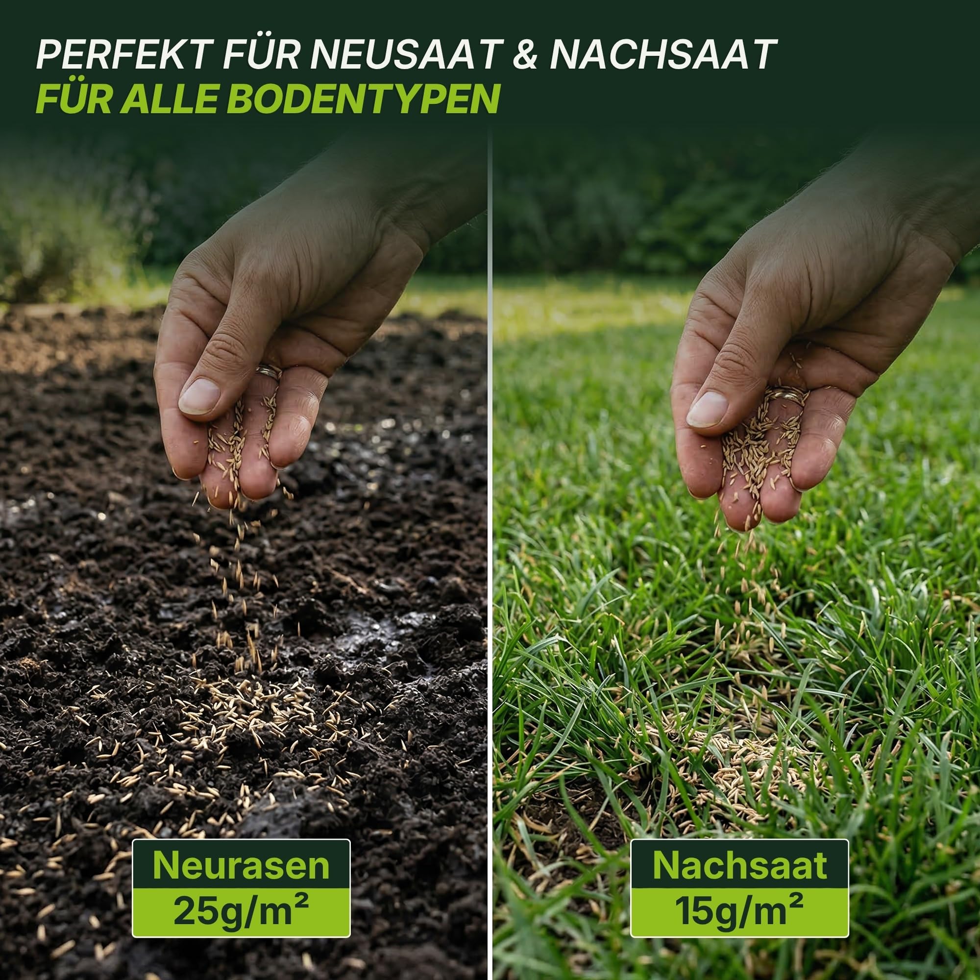Terrauno - Rasensamen schnellkeimend I Nachsaat Rasen I Extrem hohe Keimrate I 1 kg für 50 m² I Rasensamen trockenresistent zur schnellen Lückenschließung I Rasennachsaat RSM Qualität