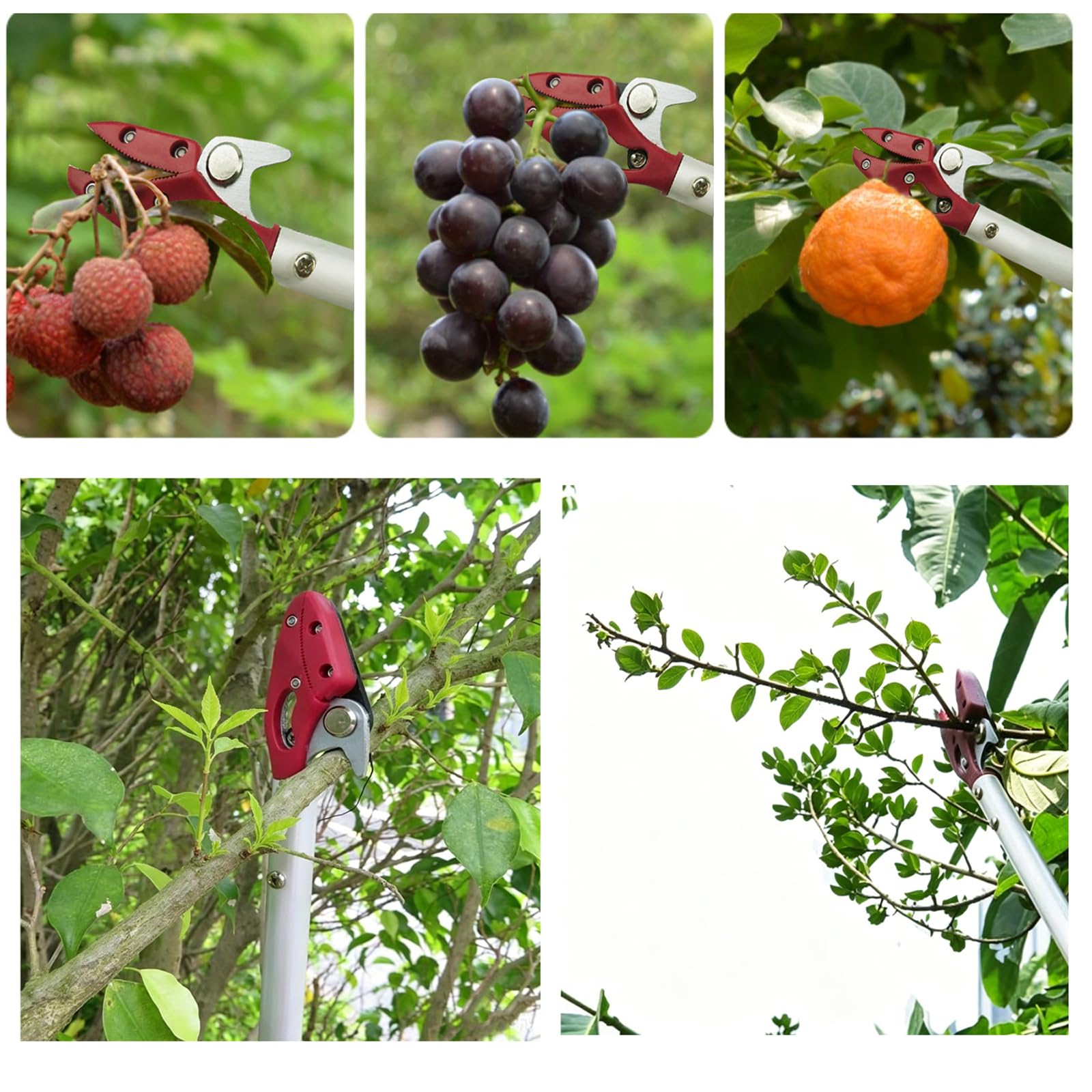 BaiYouMei 1,2m Baumschere Astschere Lang mit Feststellvorrichtung, Schnittleistung ø 8 mm Gartenschere für Obstbaumschnitt