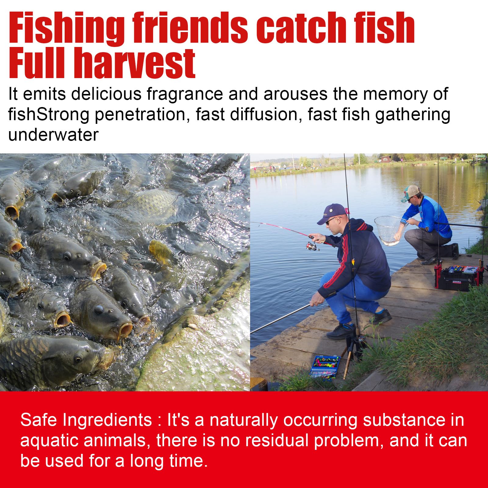 Attrattanti di Pesci per Esche Naturali per Esche, Natural Bait Scent Fish Attractants for Baits, Profumo di Pesce Attrattivo, Liquido Additivo per Esche da Pesca, per Tutte Le Specie (2 Pezzi)