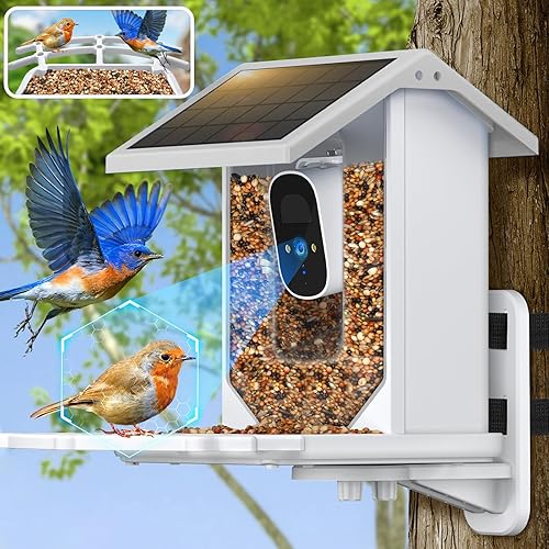 Comedero para pájaros con cámara, alimentador inteligente para pájaros con cámara, videos de aves de captura automática HD de 1080P, cámara de