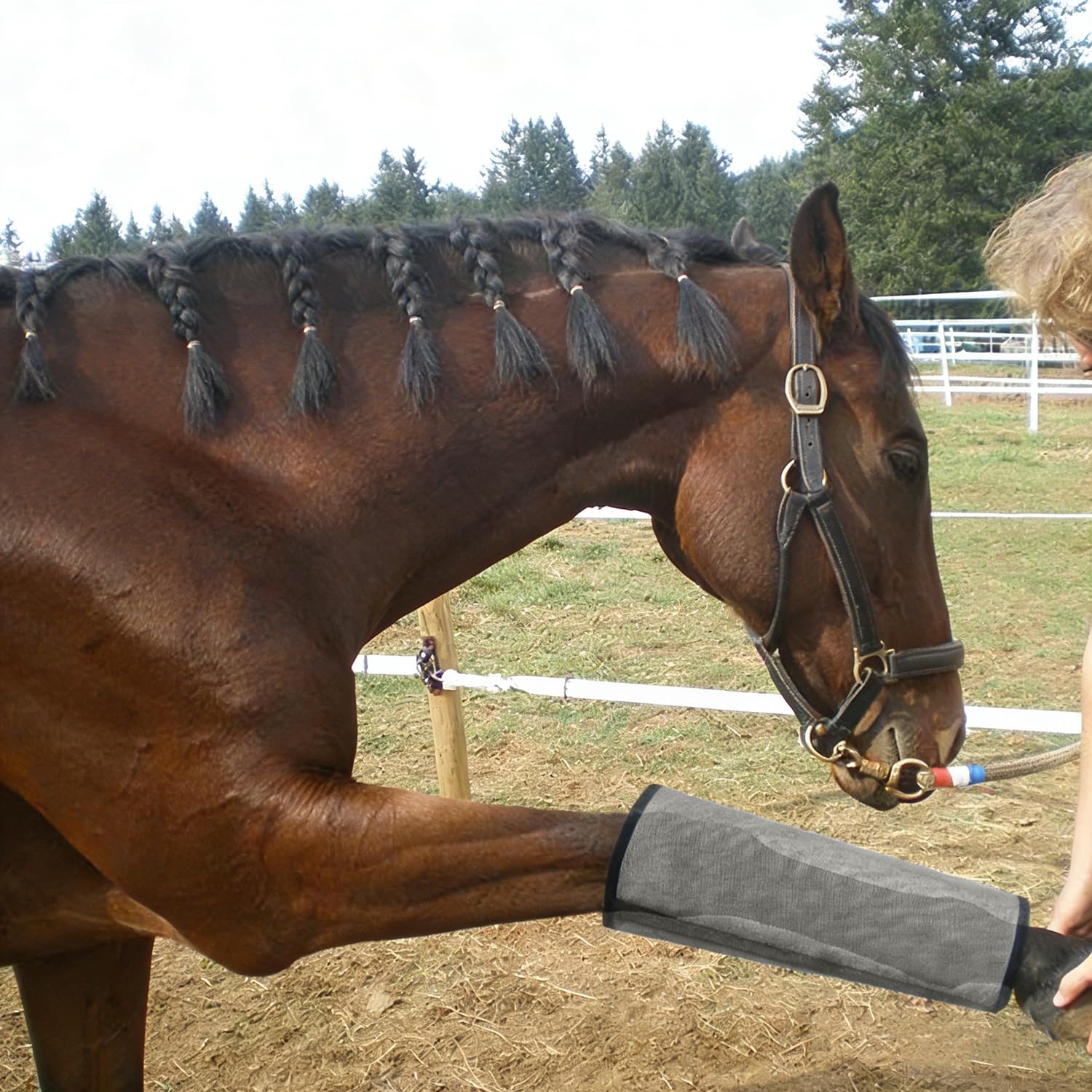 Ghette Antimosche Traspiranti per Cavalli - Confezione da 4, Stinchiere Cavallo Equitazione, Adatte a Proteggere Le Zampe dei Cavalli da Fastidiose Mosche, Zanzare e Altri Insetti Nocivi