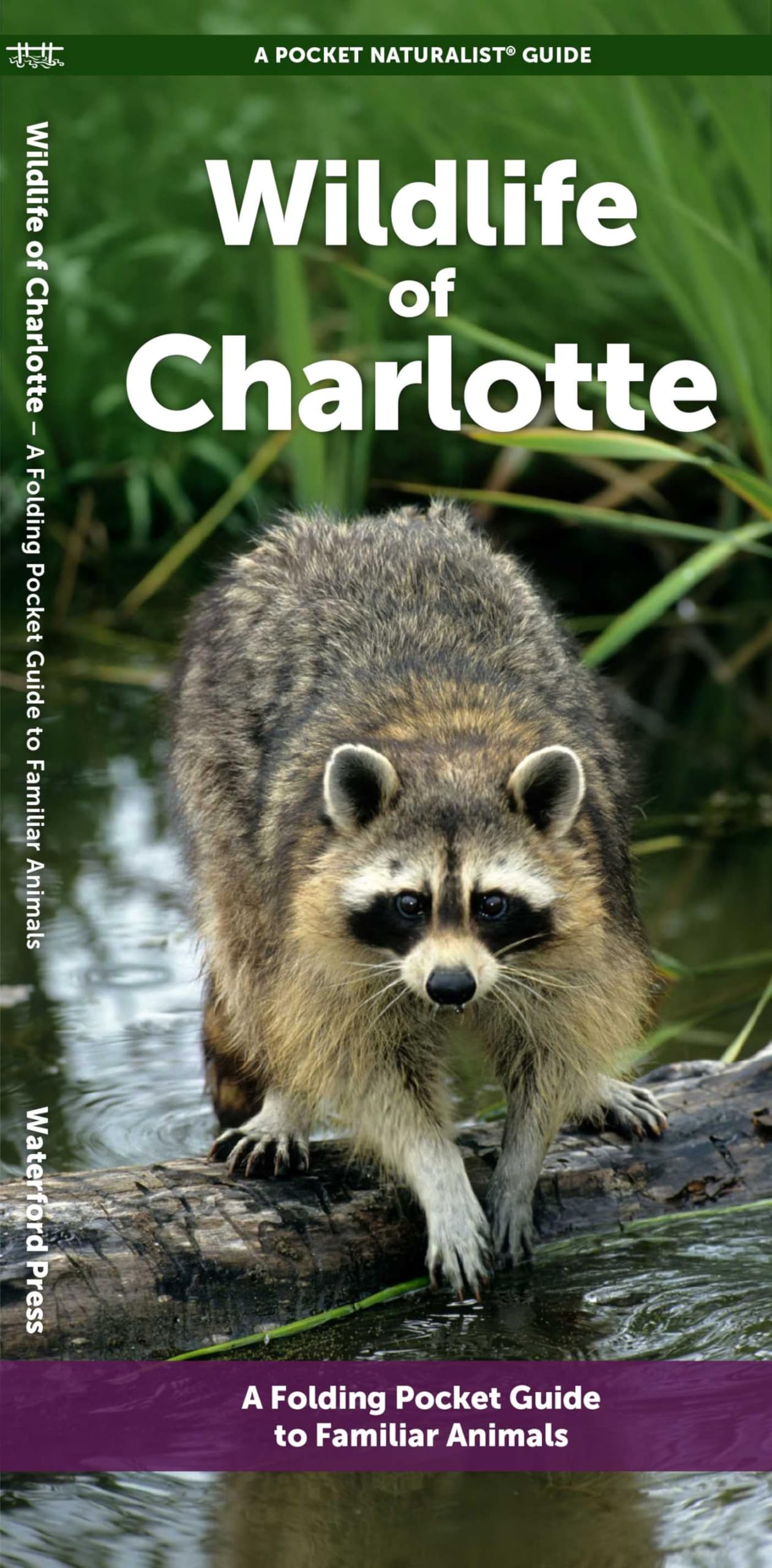 Wildlife of Charlotte: A Folding Pocket Guide to Familiar Animals (Nature Observation North America)