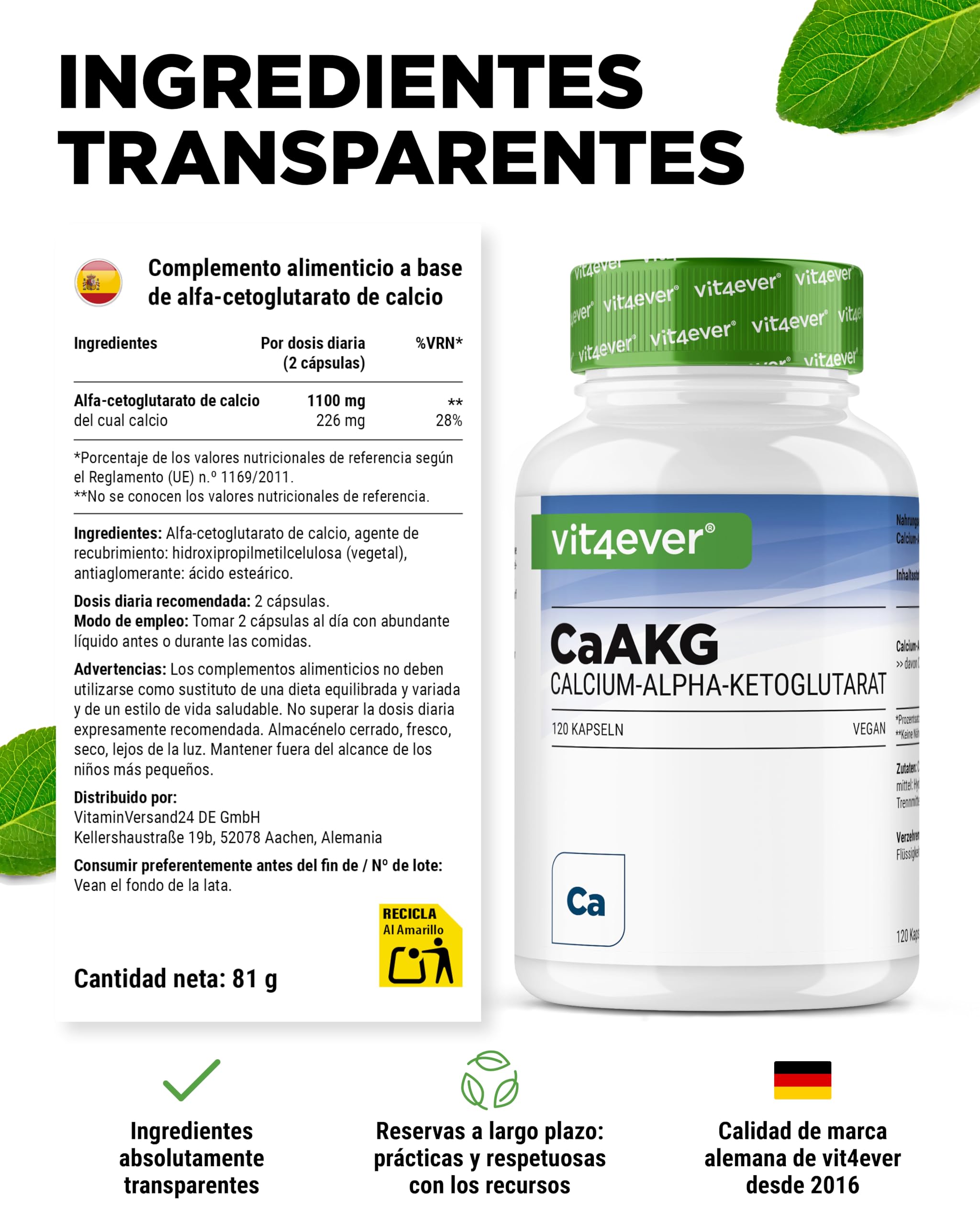 CaAKG - Calcio alfa-cetoglutarato - 120 cápsulas - Alta dosis con 1100 mg por dosis diaria - Calcio puro y alfa-cetoglutarato sin aditivos innecesarios, vegano