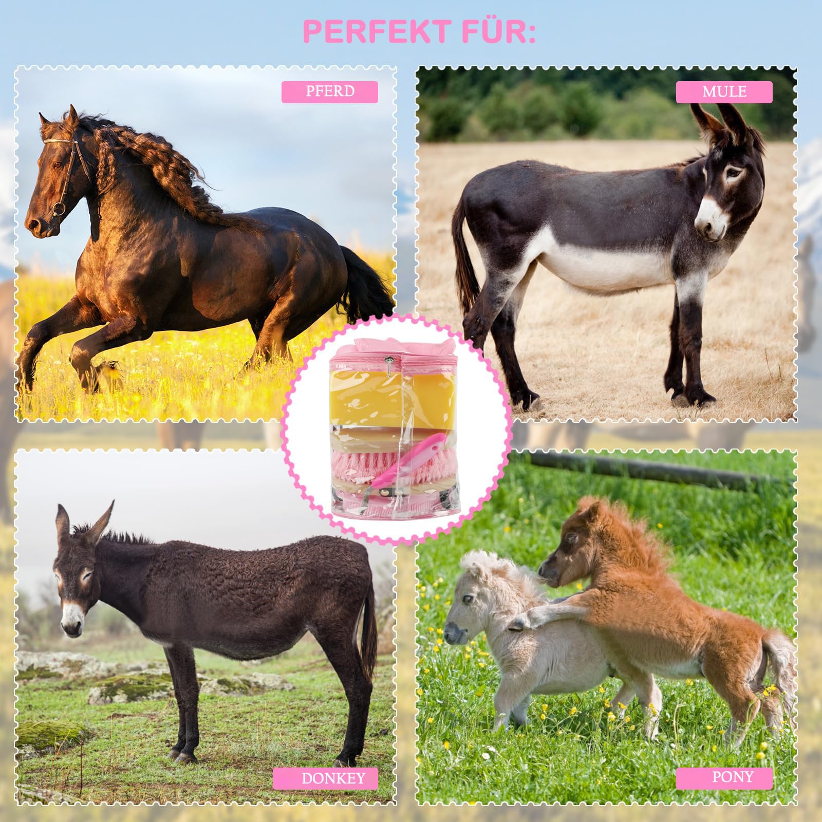 Kit de toilettage pour chevaux 9 pièces avec sac de transport, kit de nettoyage pour chevaux avec brosses souples et dures en bois, grattoir à sabot, crinière, grattoir à soudure, etc
