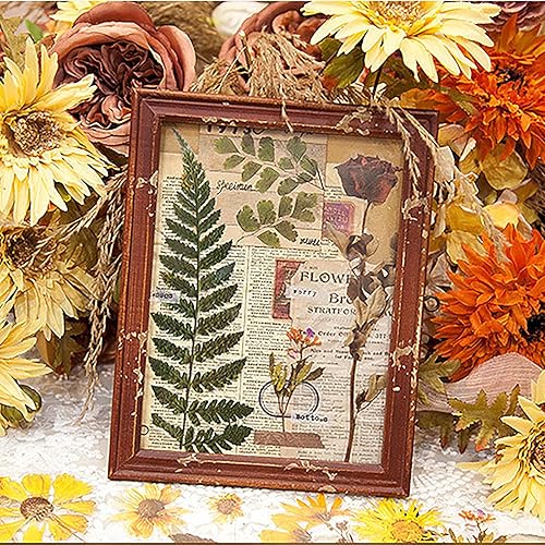 Miniatura 6 de MAXLEAF Juego de calcomanías transparentes impermeables  48 piezas vintage de plantas y flores, calcomanías impermeables de gran tamaño para