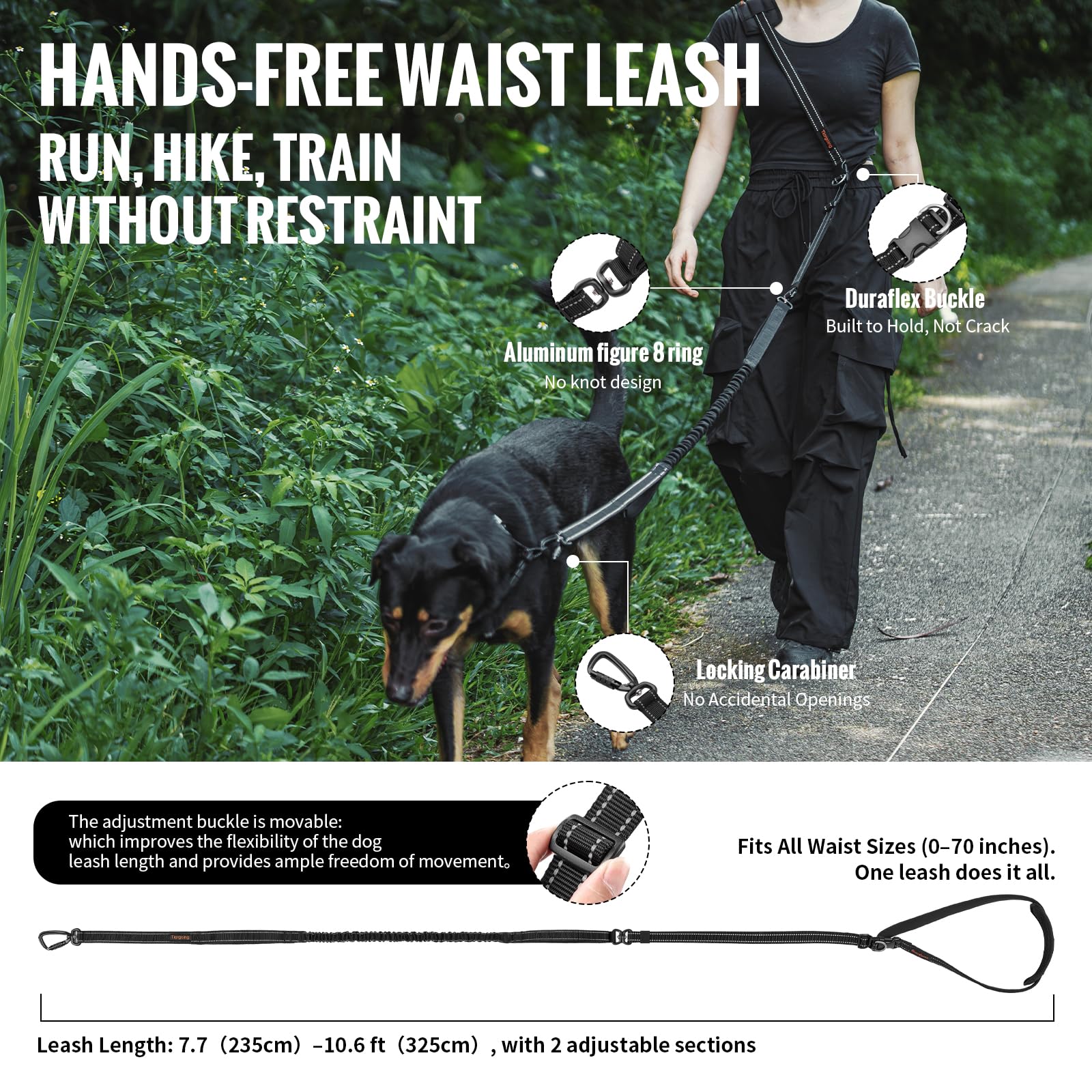 Laisse élastique mains libres pour chien avec mousqueton de verrouillage