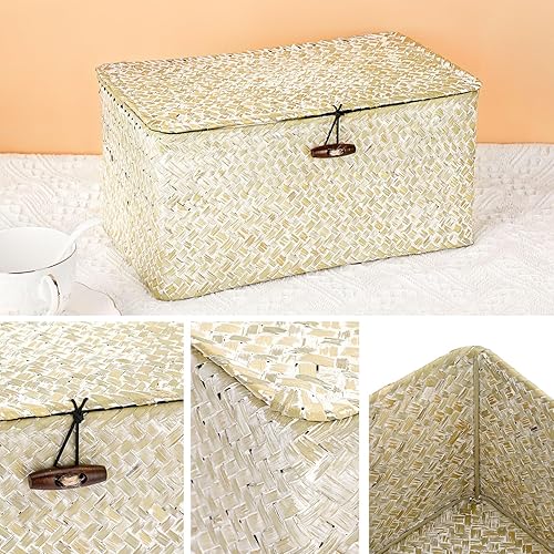 Vista 56 de Hipiwe Cestas de mimbre con tapa, cesta de pastos marinos tejida a mano, cestas rectangulares para el hogar, cajas para estantes, armario, Café