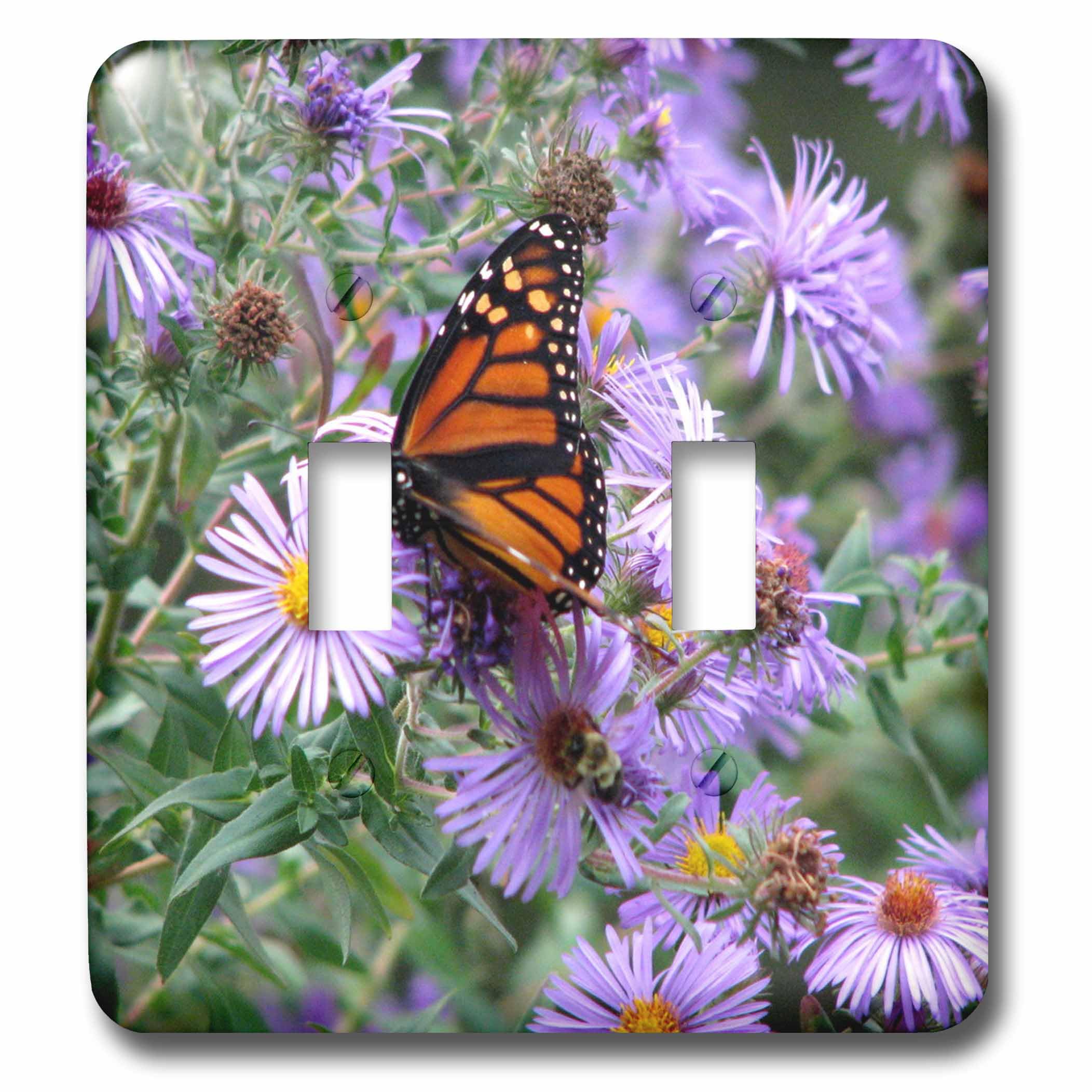 Interruptor de palanca doble decorativo lsp_27269_2 mariposas de colores