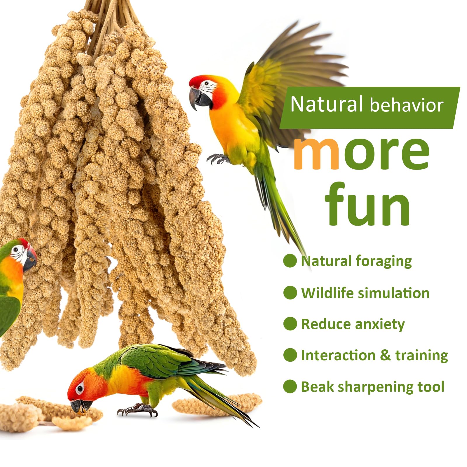 Spray Millet for Birds 5LB - All Natural Sun-Dried Healthy Treat, Millet Spray for Parakeets, Parrots, Lovebirds, Cockatiels Food, 100% Non-GMO High Protein Fresh Bird Seed - Additional View