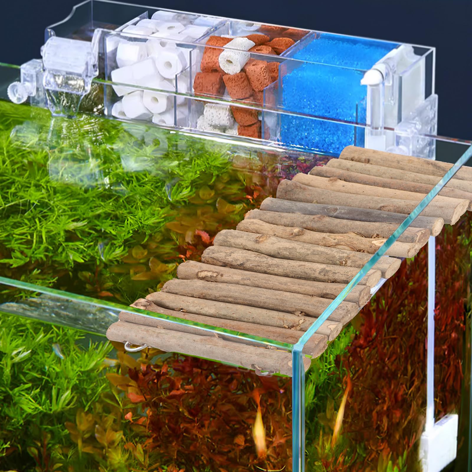 Beavorty Holzversteck für Reptilien und Aquatische Tiere Sicher Dekoratives Schildkrötenversteck aus Natürlichem Holz für Innen und Außenbereiche