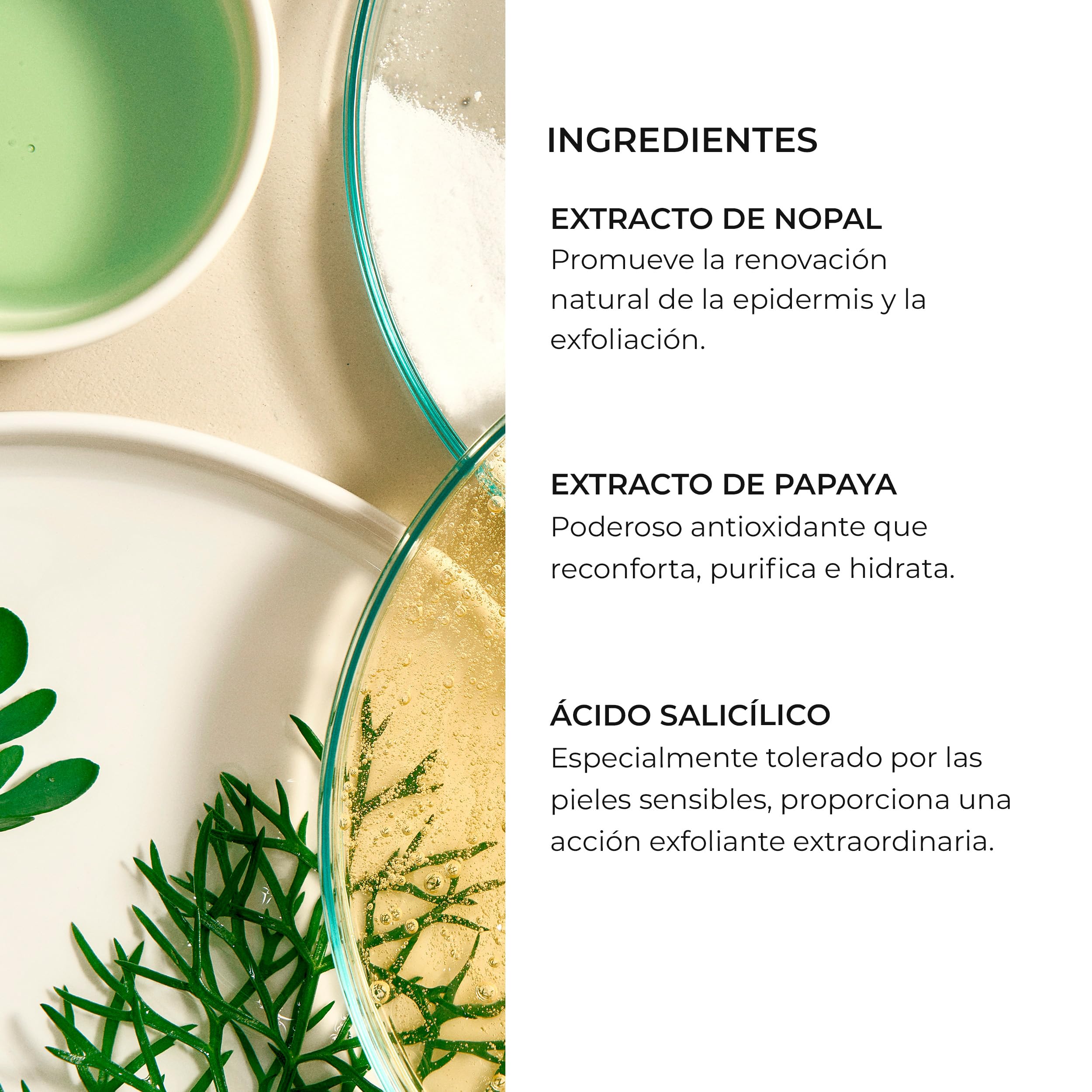 Natura Bissé Tolerance Enzyme Peel | Exfoliante Facial Enzimático para Pieles Sensibles con Ácido Salicílico, Ácido Láctico y Extractos de Nopal y Papaya | 50 ml