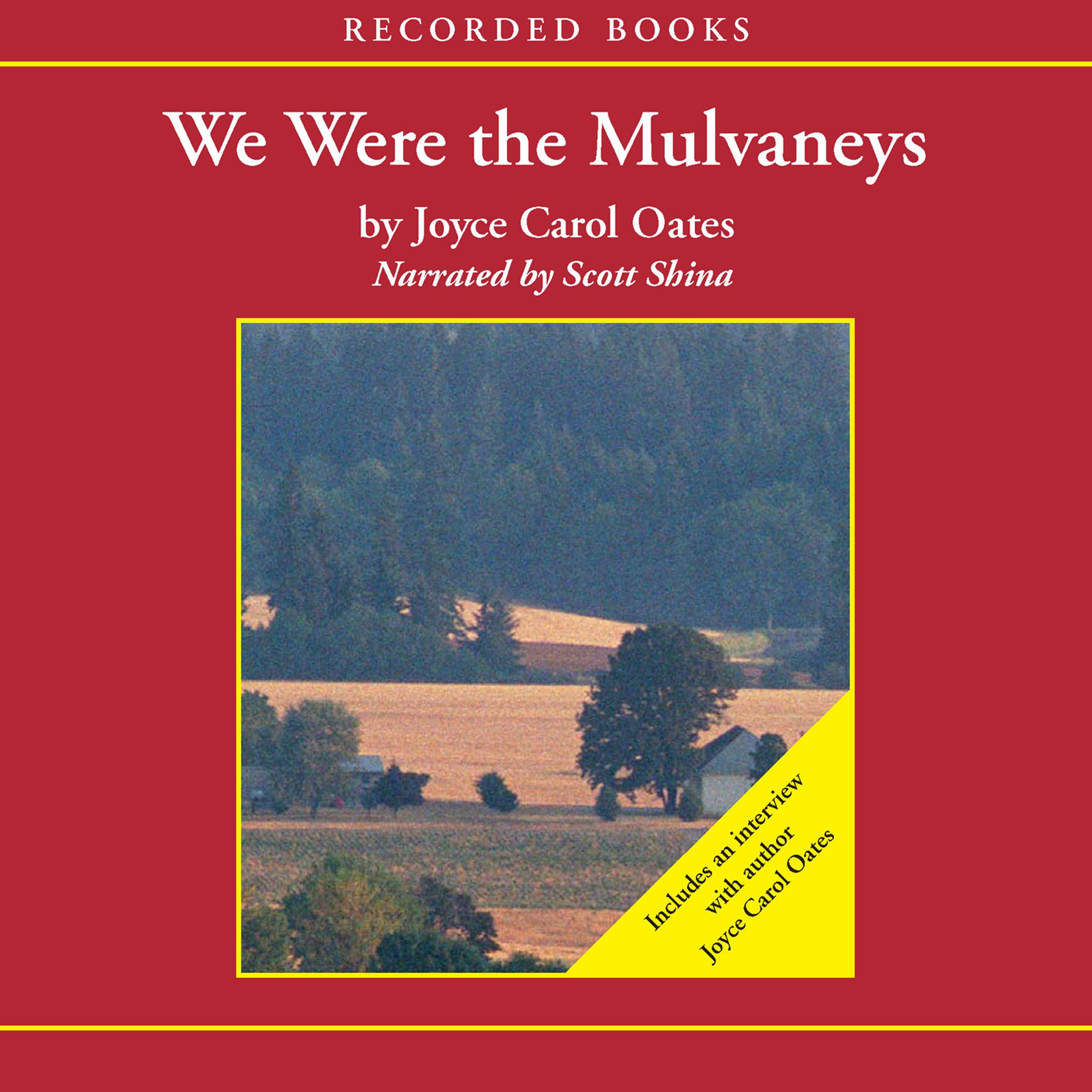 Cover art for We Were the Mulvaneys