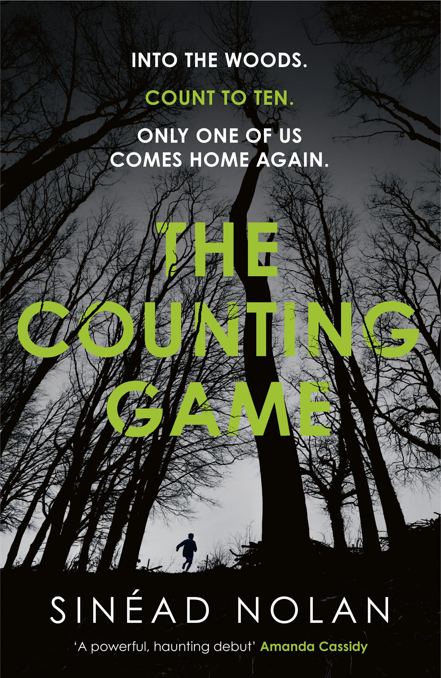 The Counting Game: Discover this gripping Irish novel of psychological suspense, dark family secrets, and a mystery hidden deep in a cursed forest…