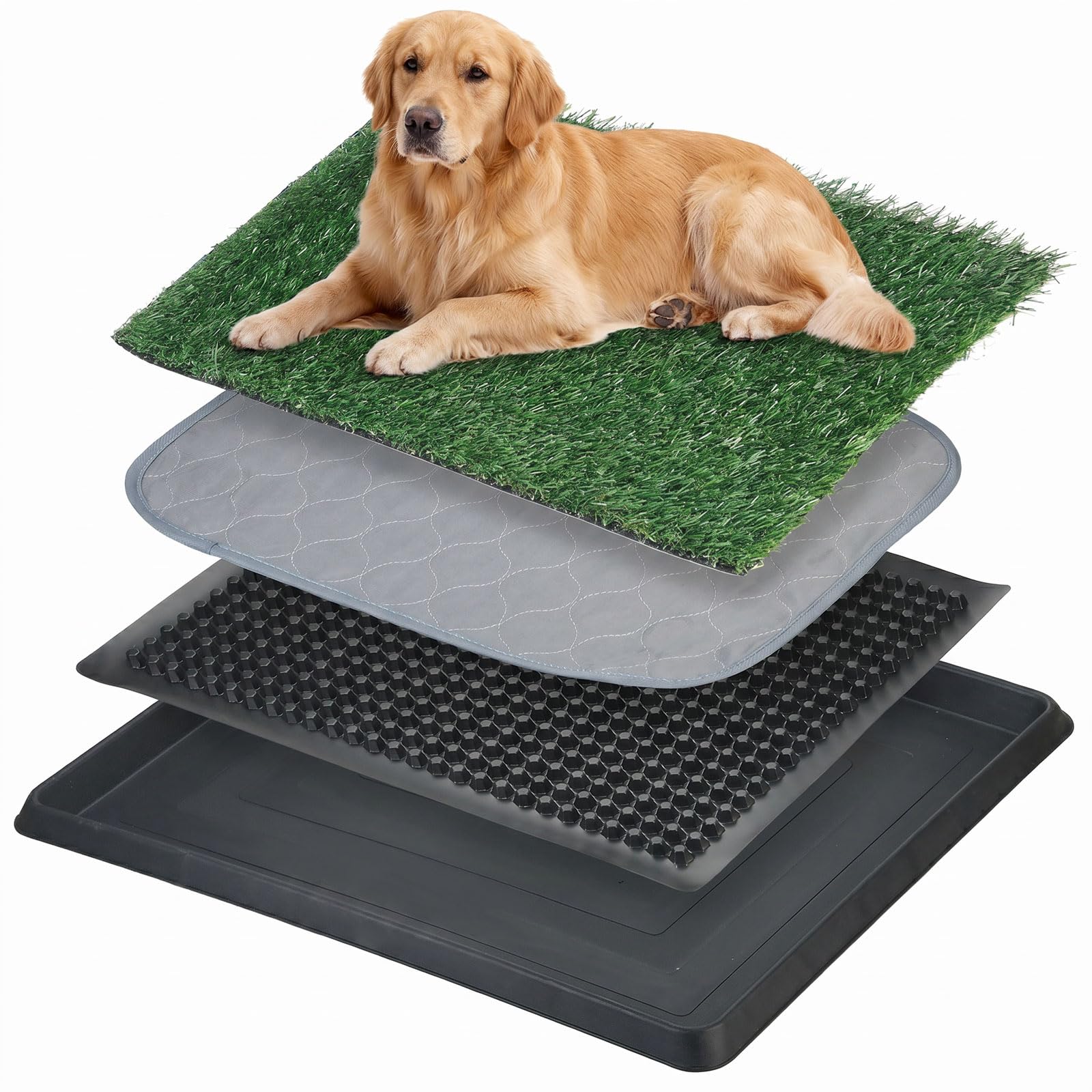 Bac de toilette pour chien avec gazon artificiel – Tapis hygiénique lavable réutilisable pour chiots et petits chiens, bac à litière d'intérieur portable pour chiens, chiots, entraînement à la maison