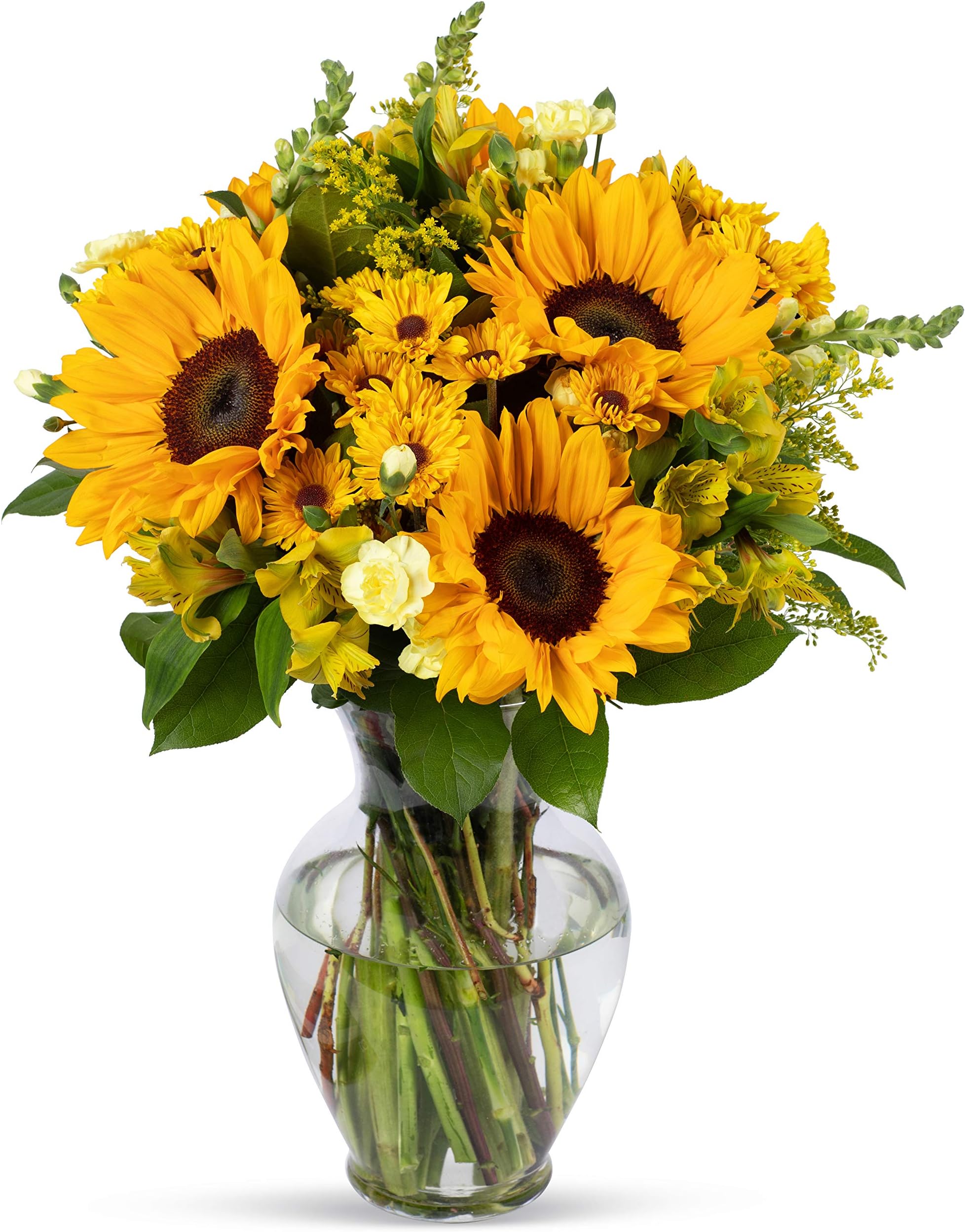 Benchmark Bouquets - Rays of Sunshine (Glass Vase Included) - Fresh Flowers for Next Day Delivery - Gift for Birthday, Anniversary, Get Well, Sympathy, Congratulations