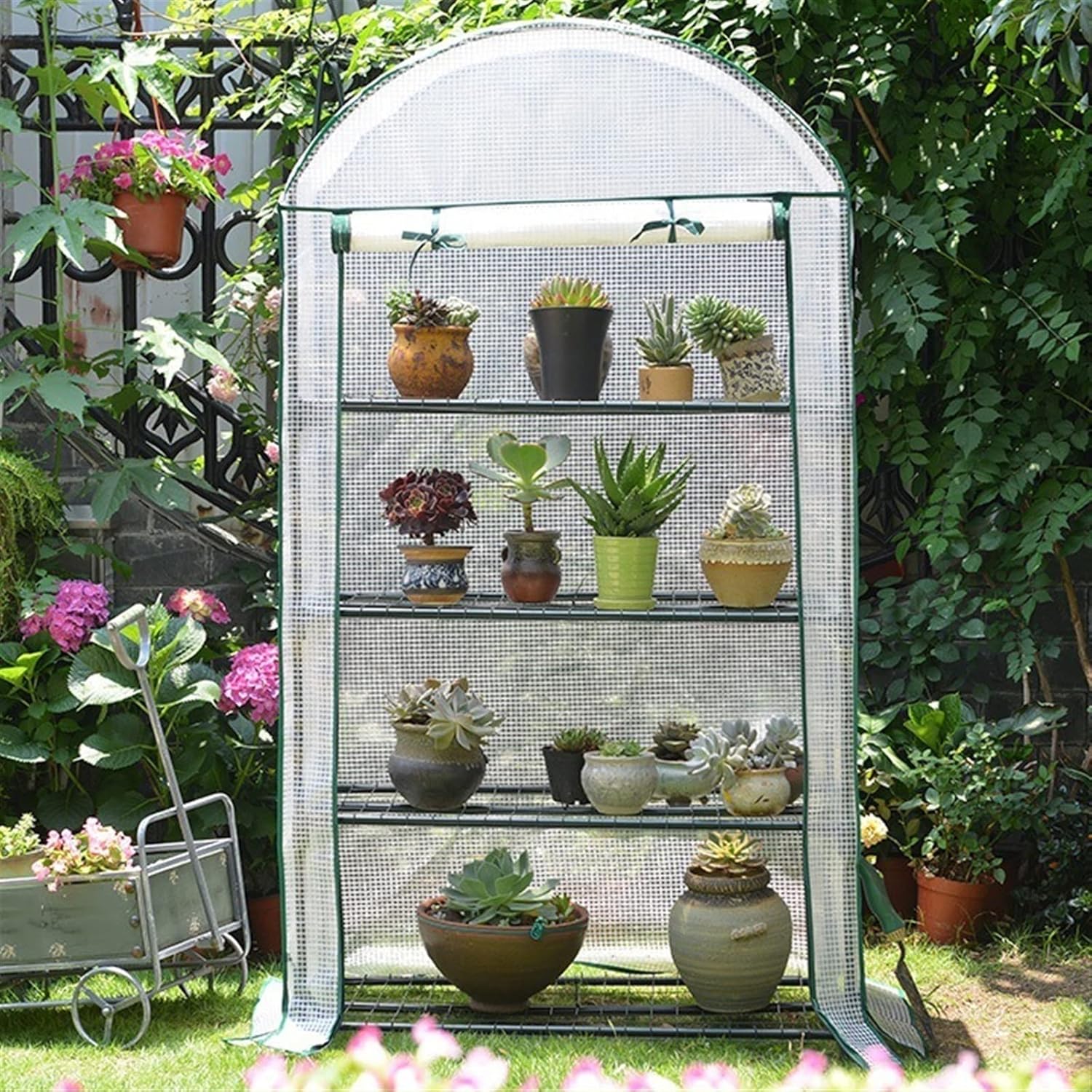 Outdoor Greenhouse,Plastic Warm House,PE Cover with Roll-up Zipper Entry Doors, Garden Plant Hot House,for Patio, Backyard, Nursery, Home Growing ( Color : White )