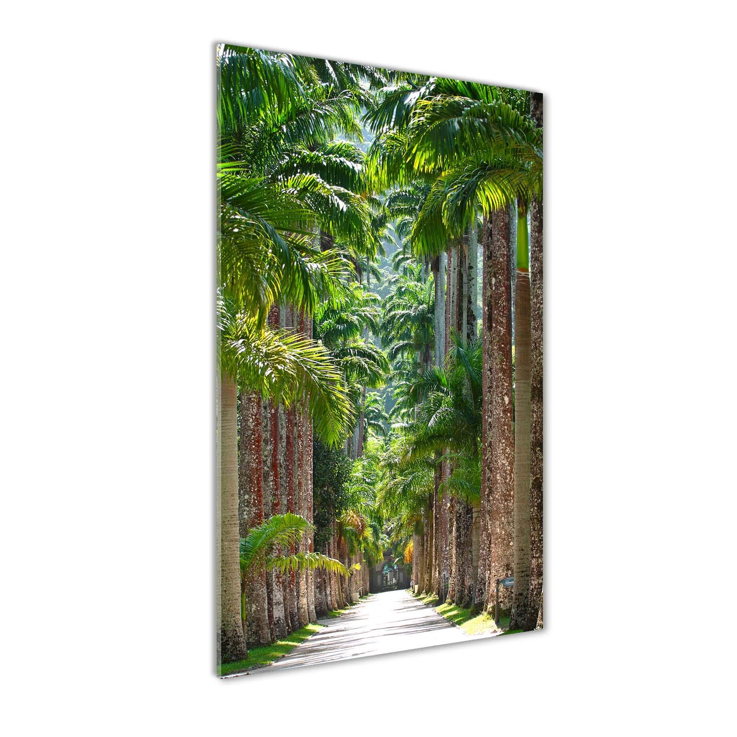 Impression sur verre 50x100 cm Tulup panoramique paysage de palmiers vert pour cuisine et salon