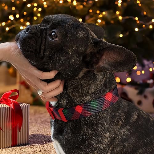 Vista 168 de Pawtitas Collar personalizado para perro, collar de perro pequeño, bordado con nombre, número de teléfono, collar de cachorro, collar ajustable