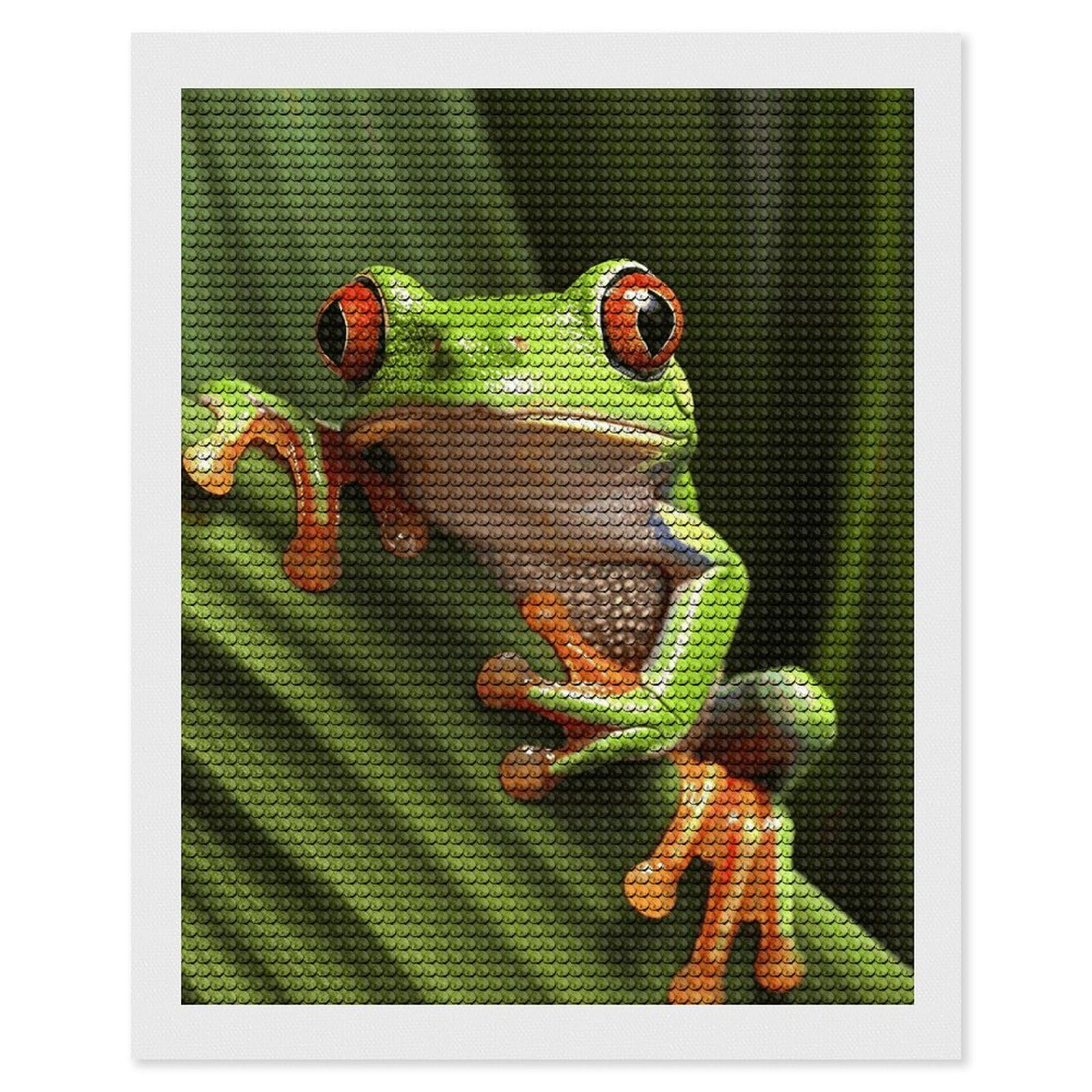 NONHAI Diamond Painting Kits for Adults - DIY Diamond Art Kits for Beginners - Full 5D Paint Drill Diamond Dots Paintings- Tree Frog Diamonds Pictures Gem Art and Craft Wall Decor 16"x20"