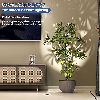 Free! SPOT LIGHT COLOR Set 岩鳶セット Amazon.co.jp: Free スポットライトカラー マガジン