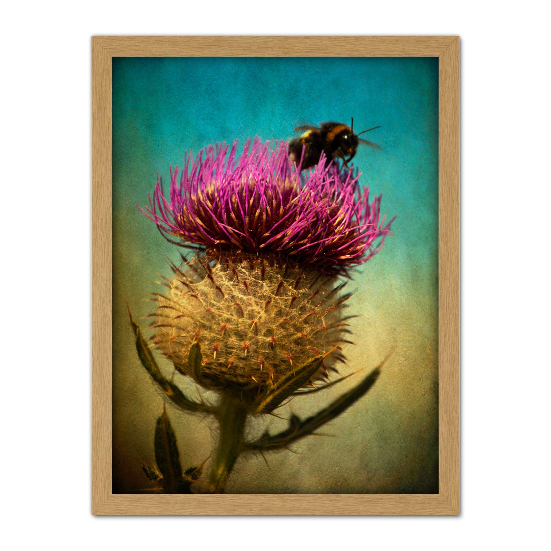 Wee Blue Coo Bumble Bee and Thistle Artwork Framed Wall Art Print 18X24 Inch
