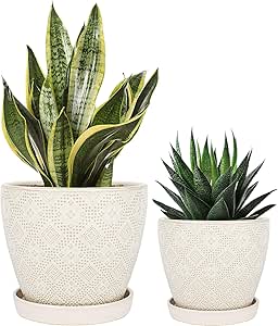 Docrin Pots for Indoor Plants, 6.6+5.5 Inch, Ceramic Plant Pots with Drainage Hole and Saucer for Succulent, Flower and Plant, Gardening Decoration Gift, Indoor and Outdoor, Set of 2, Creamy-White