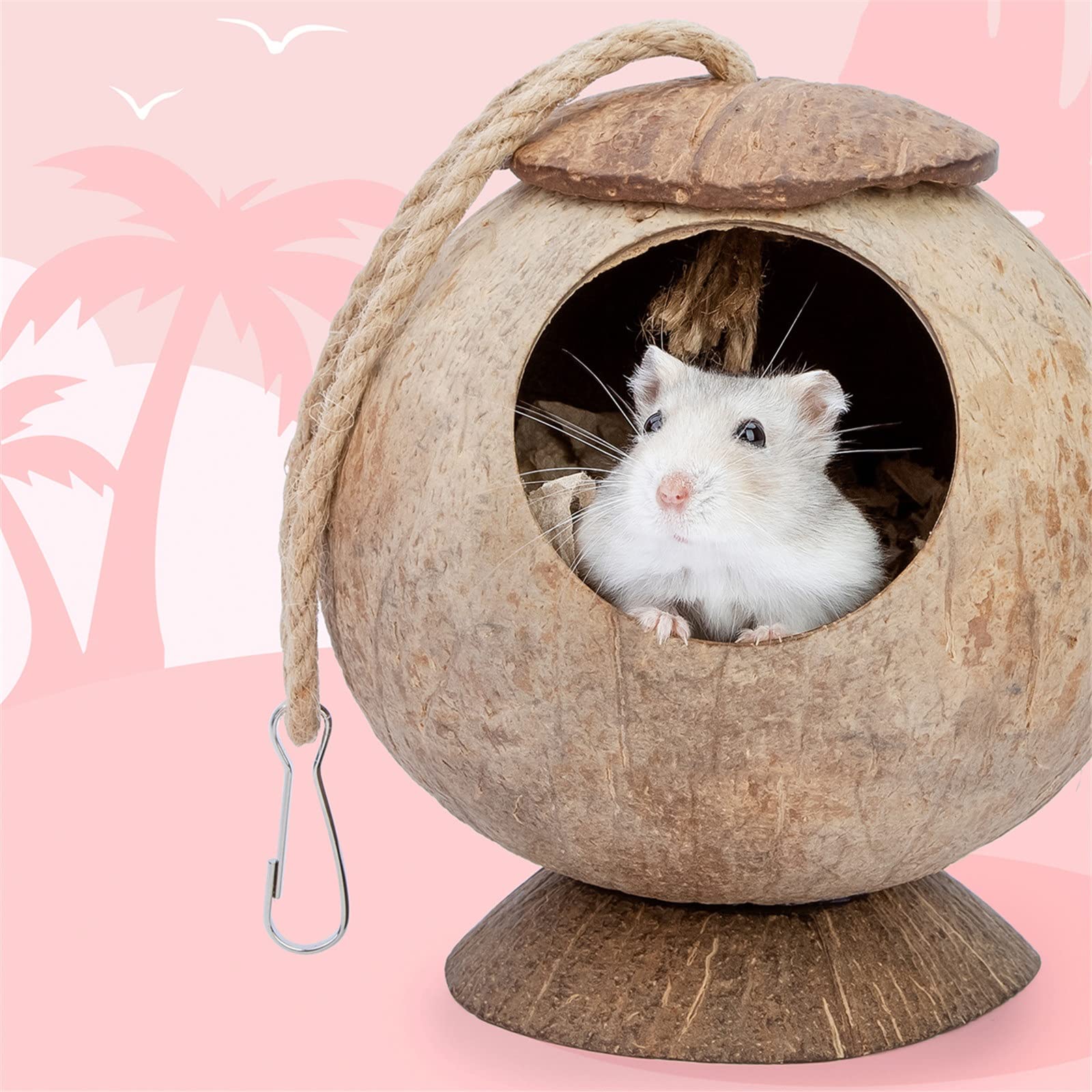 Amazon.co.jp: ハムスターハウス 小動物の隠れ家ハウス モルモット