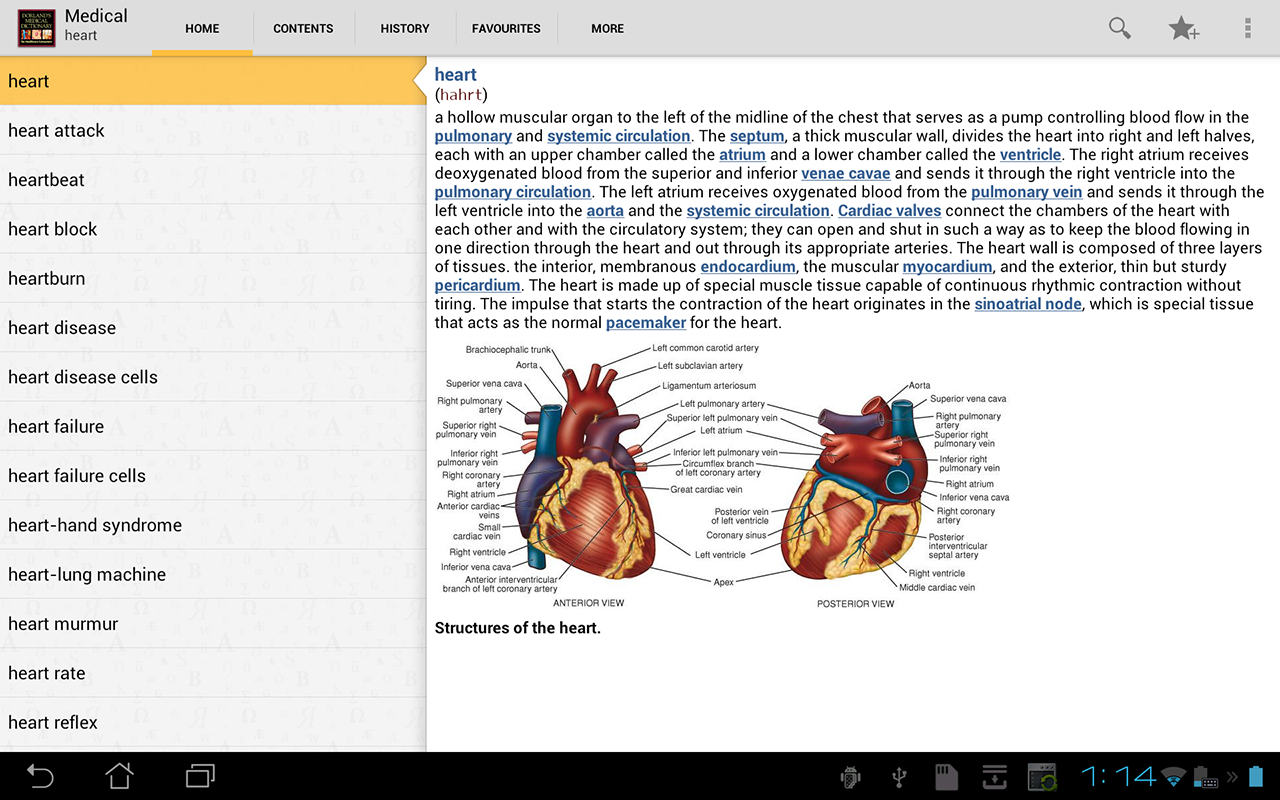 Dorland's Medical for Android