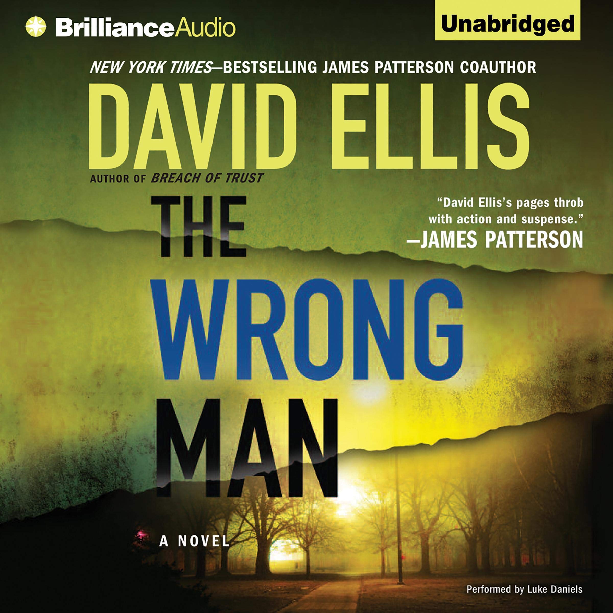 Cover art for The Wrong Man