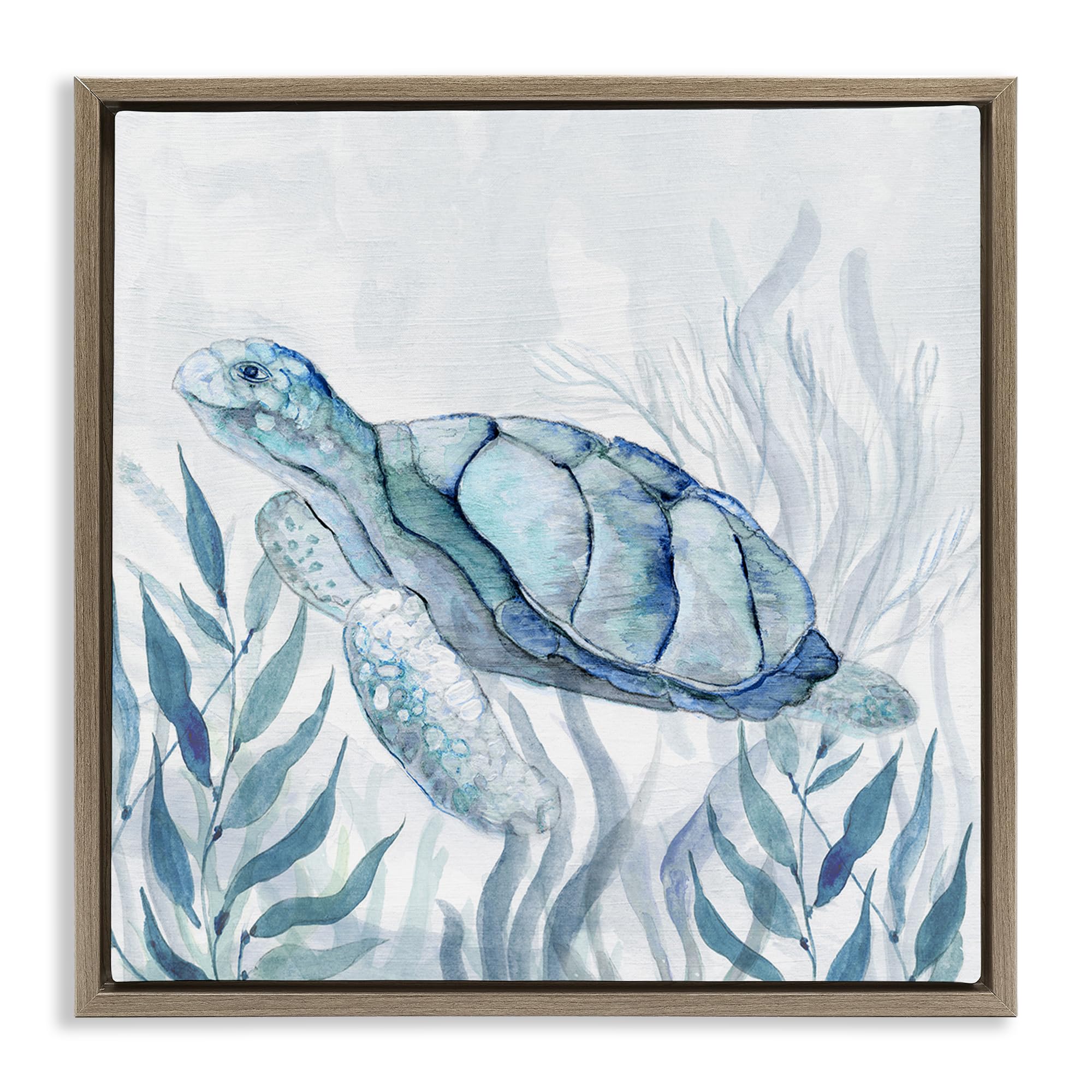 Stupell Industries 'Sea Turtle with Subtle Smile', Floating Frame Canvas Art, Brown, 25 x 25 Inches, Easy to Hang and Sturdy, Made in USA, by Janet Tava