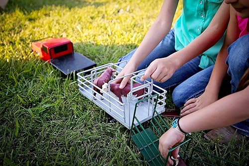 Miniatura 3 de Little Buster Toys Herford Cow - Vaca realista, escala 1/16