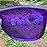 Purple Color Therapy Glasses for Chakra Healing, Chromotherapy, and Mood