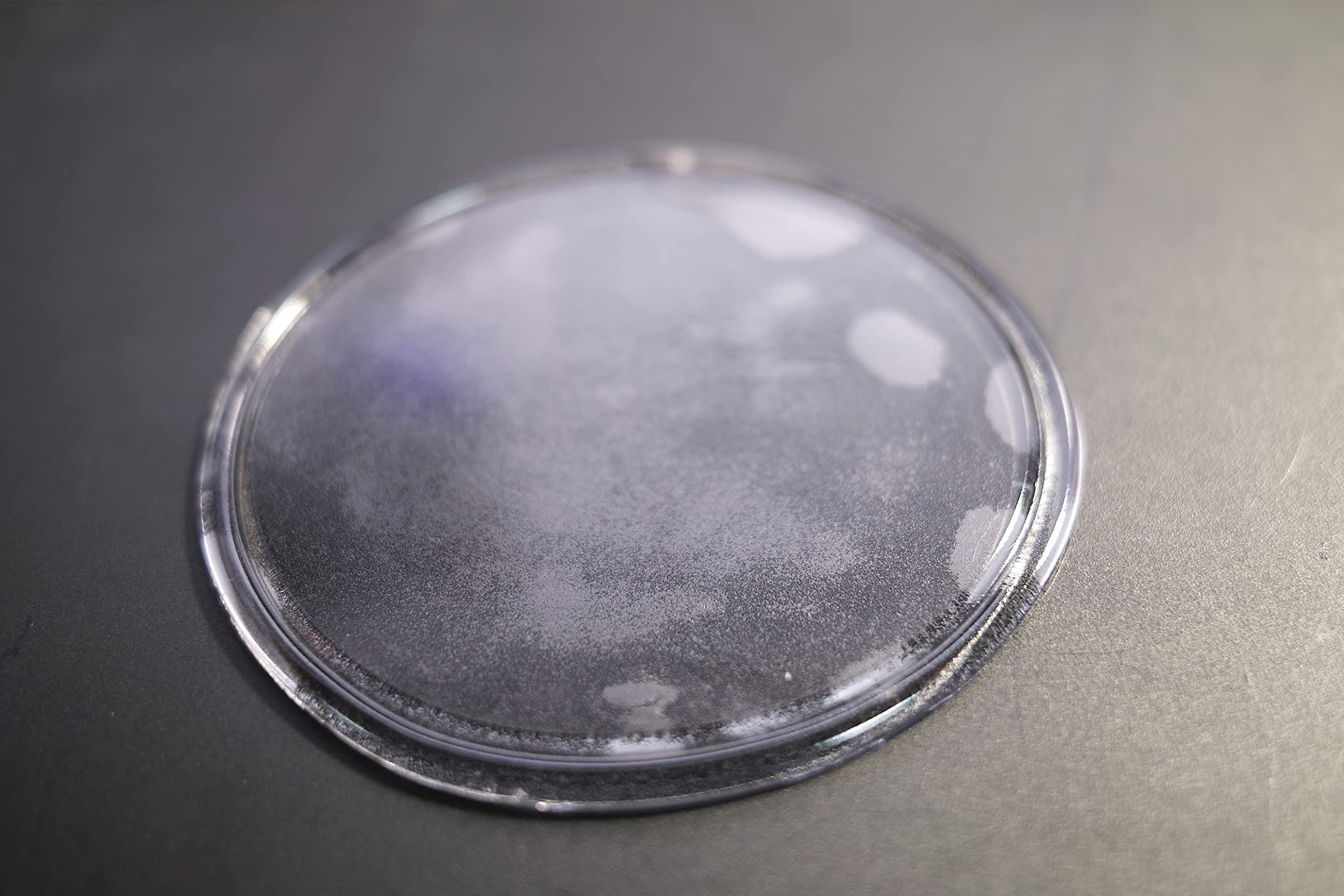 Amazon.co.jp: iBeamed リアゲートタープ付属品 真空吸盤 タープ固定用