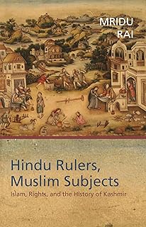 Hindu Rulers, Muslim Subjects: Islam, Rights, and the History of Kashmir