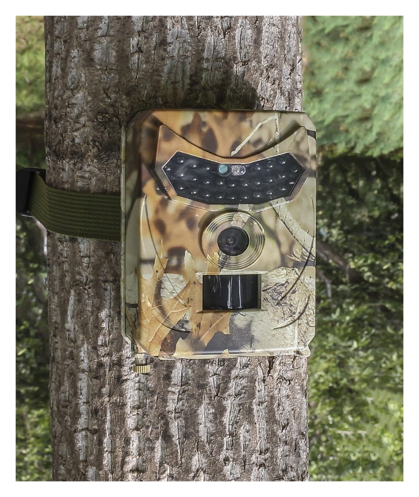 Cámara Vida Silvestre Cámara De Caza Al Aire Libre Detector Animales Salvajes Rastreo HD Monitoreo A Prueba Agua Infrarrojo Detección Calor Visión Nocturna Confiable Preciso