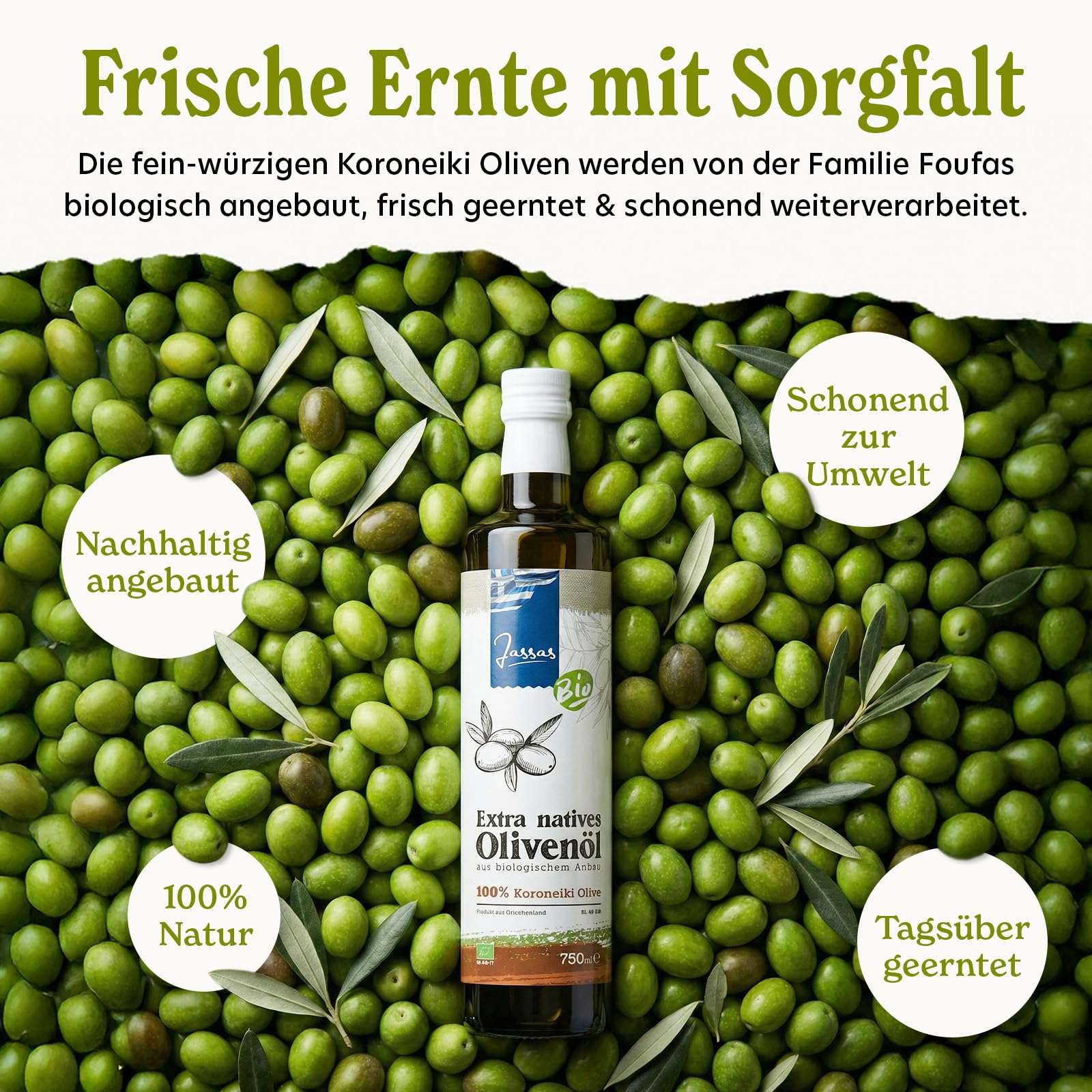 Jassas Bio Olivenöl 5L - 100% Bio Koroneiki Oliven - Neue Ernte 25/26 - extra nativ - fruchtig & aromatisch - GR-BIO-17 - Qualität aus Griechenland