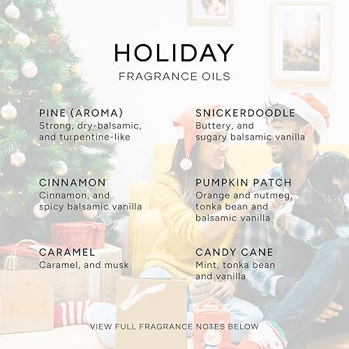Miniatura 2 de Holiday Gift - Juego de 6 aceites aromáticos Candy Cane, Pine, Pumkin Patch, Cinnamon, Caramel y Snickerdoodle, 0.3 fl oz (10 ml)