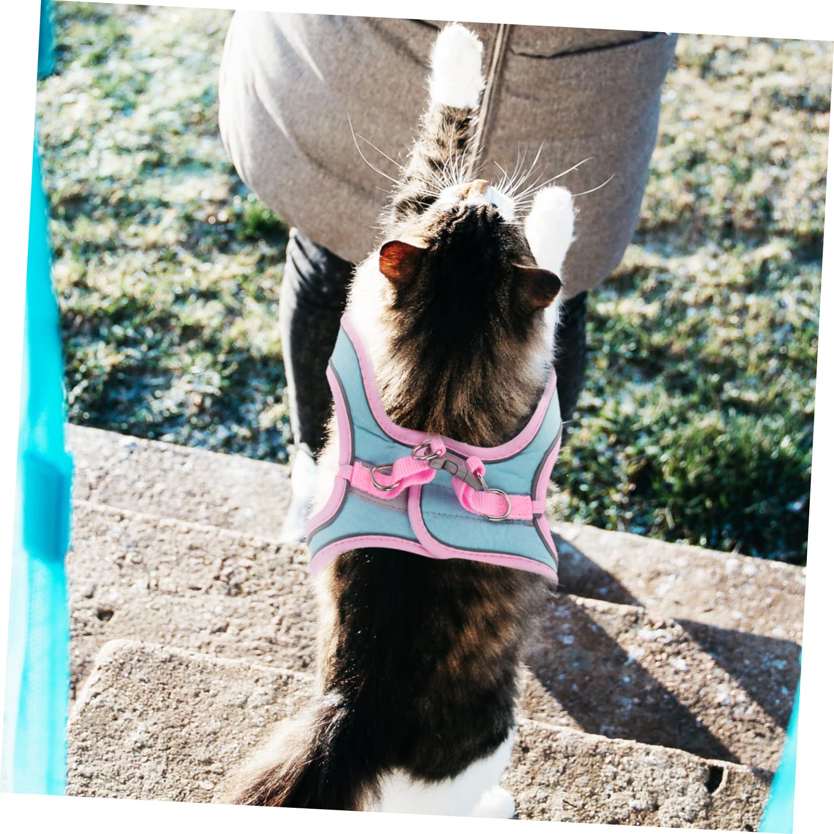 Mipcase 3sätze Verstellbares Katzengeschirr Und Set Ausbruchsicheres Design Atmungsaktives Mesh Für Katzen Und Kätzchen Mit Reflektierenden Elementen -grün