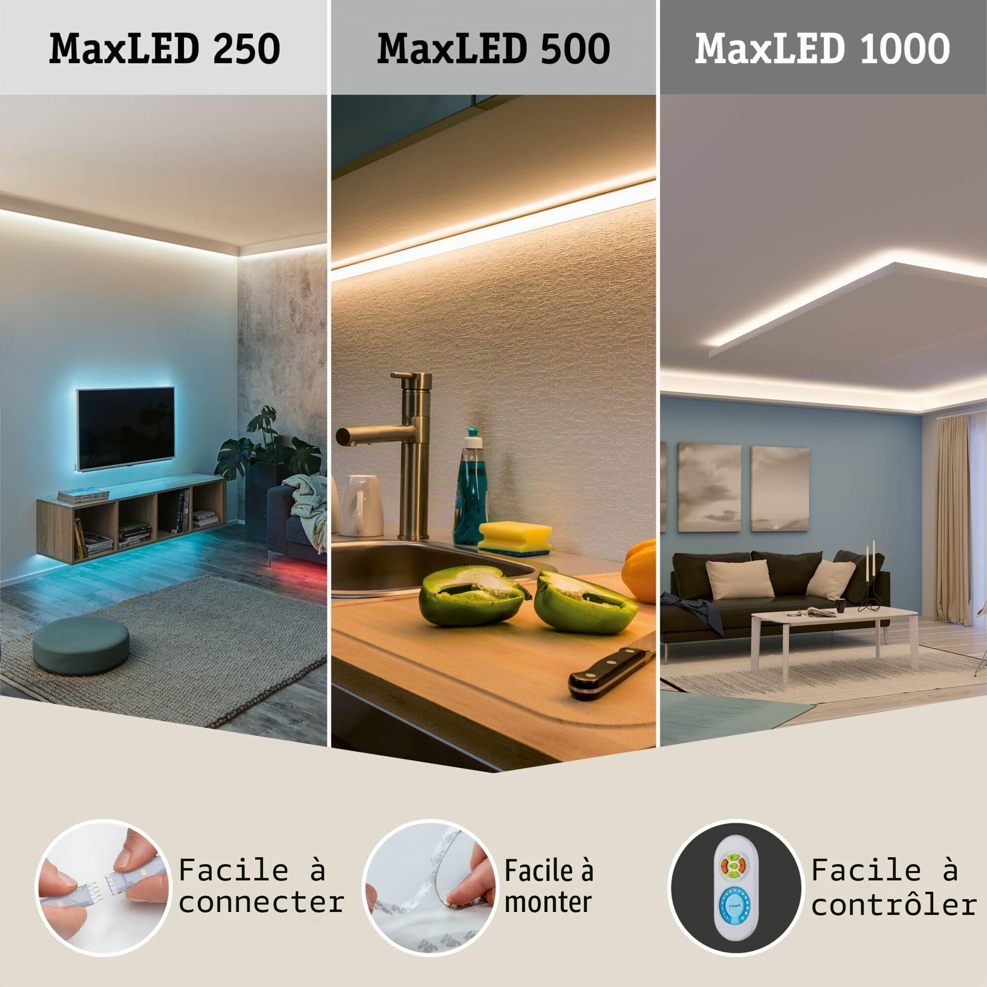 Paulmann 70553 Ruban LED MaxLED 1000 blanc lumière du jour 2,5 m 29 W 2 750 lm 6 500 K IP44 dimmable Ruban LED argent matière plastique
