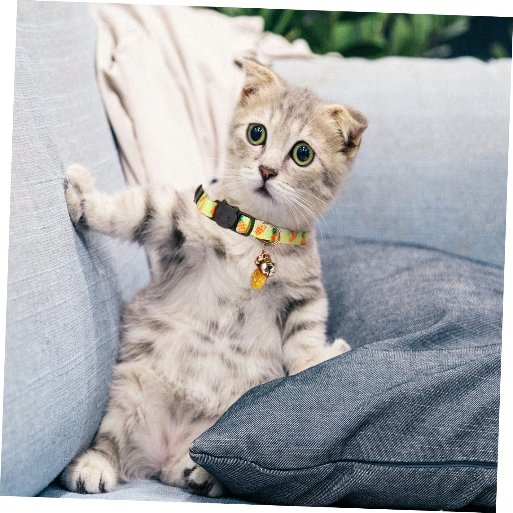 ABOOFAN 12pièces Collier Ajustable pour Chat avec Ensemble De Motifs Fruits Avocat Ananas Pastèque Accessoire pour Animaux De Compagnie