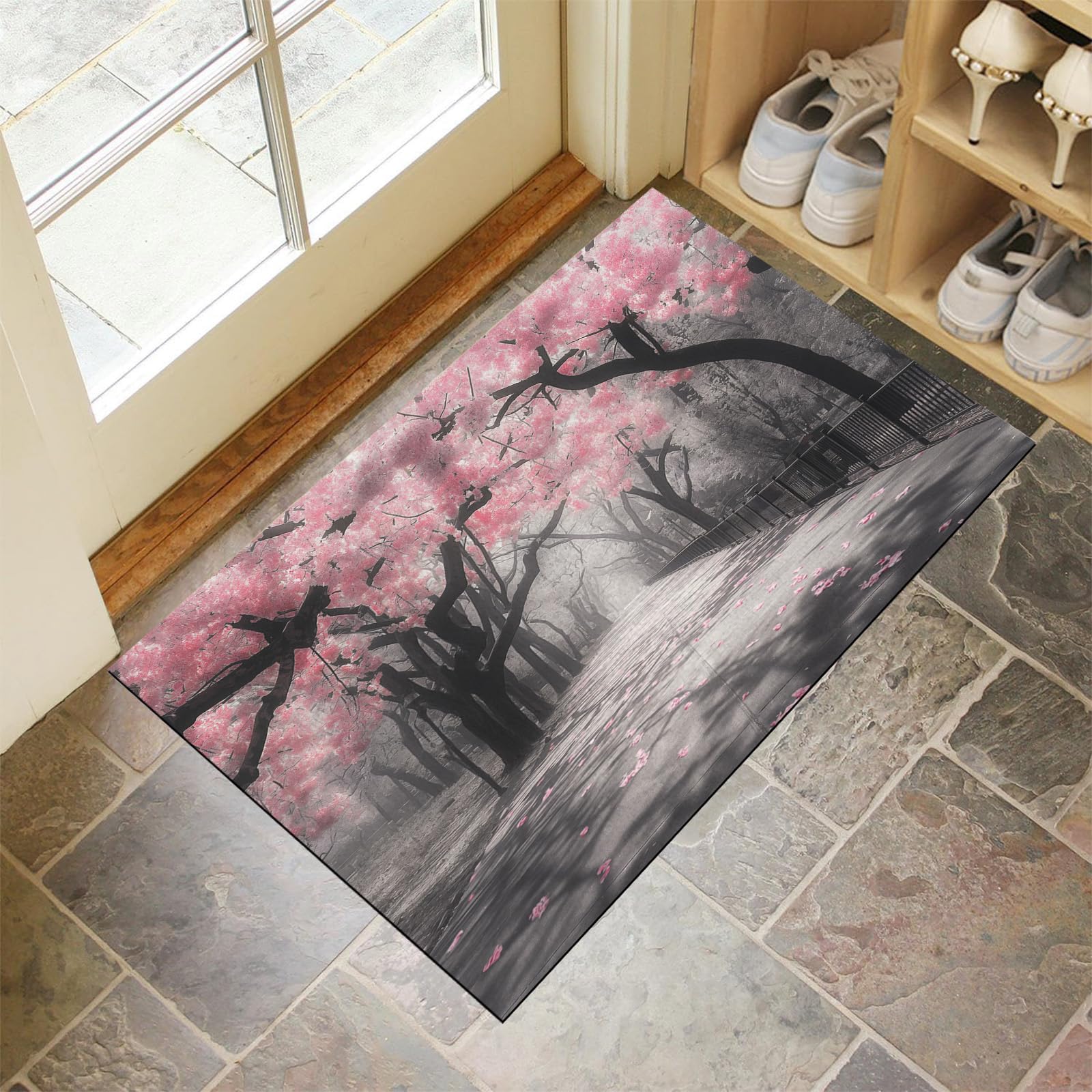 Paillasson retient la poussière lavable et tapis de porte extérieur 60x90